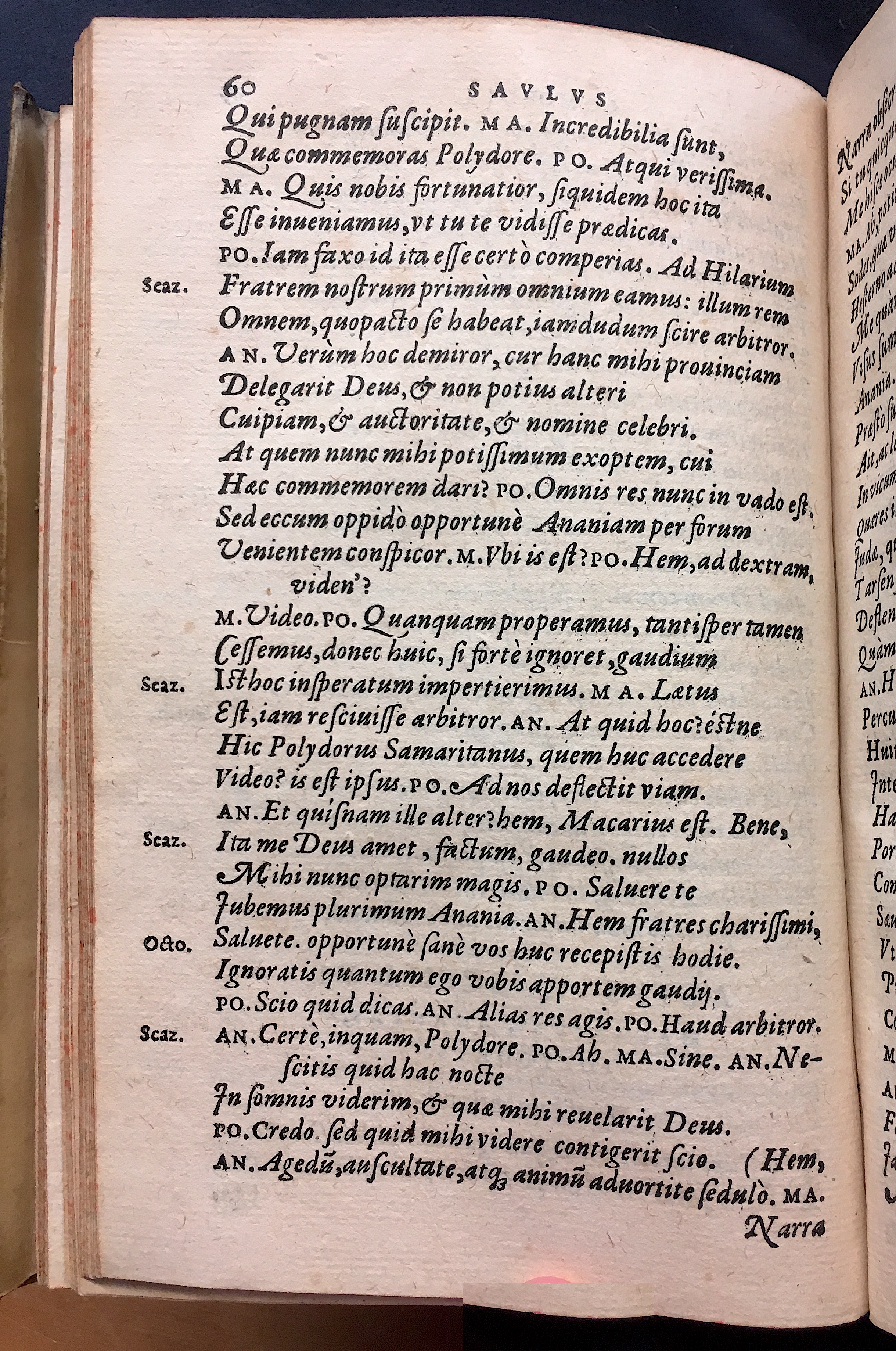 SchonaeusSaulus1581p60.jpg