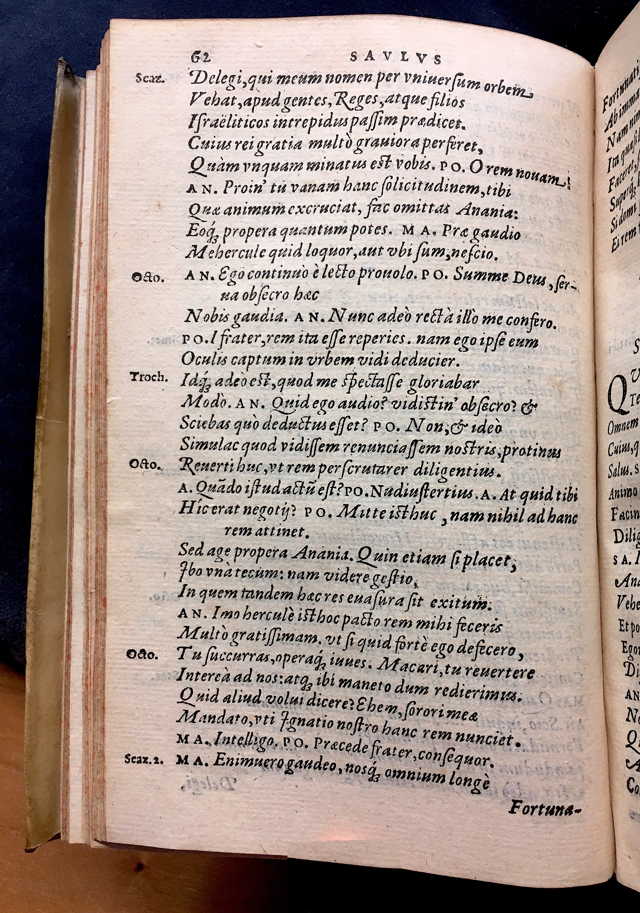 SchonaeusSaulus1581p62.jpg