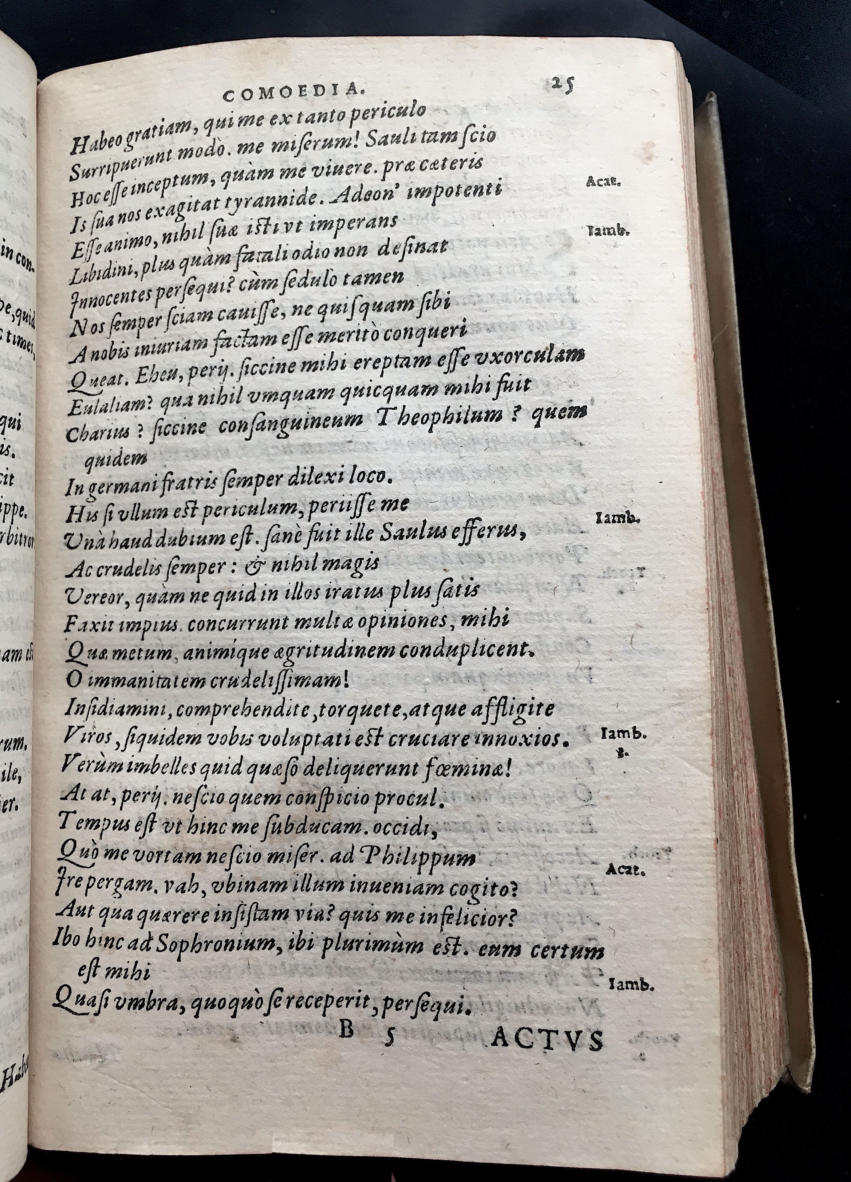 SchonaeusSaulus1581p25