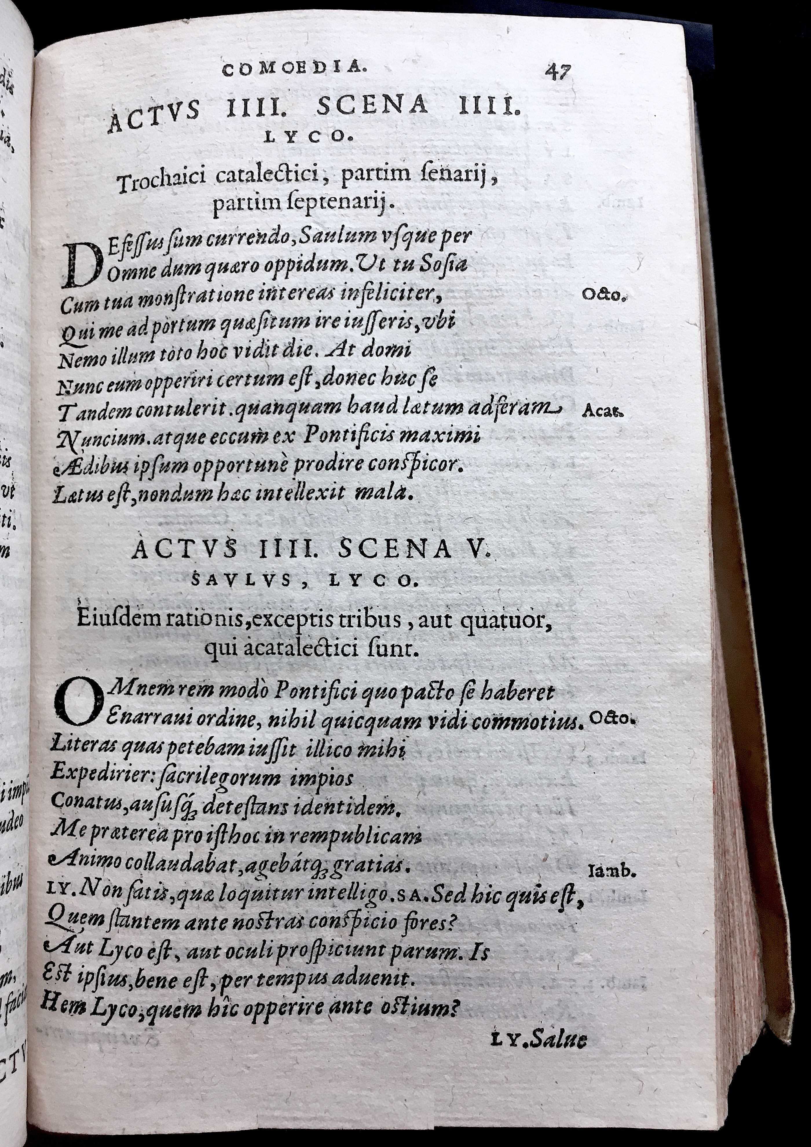 SchonaeusSaulus1581p47