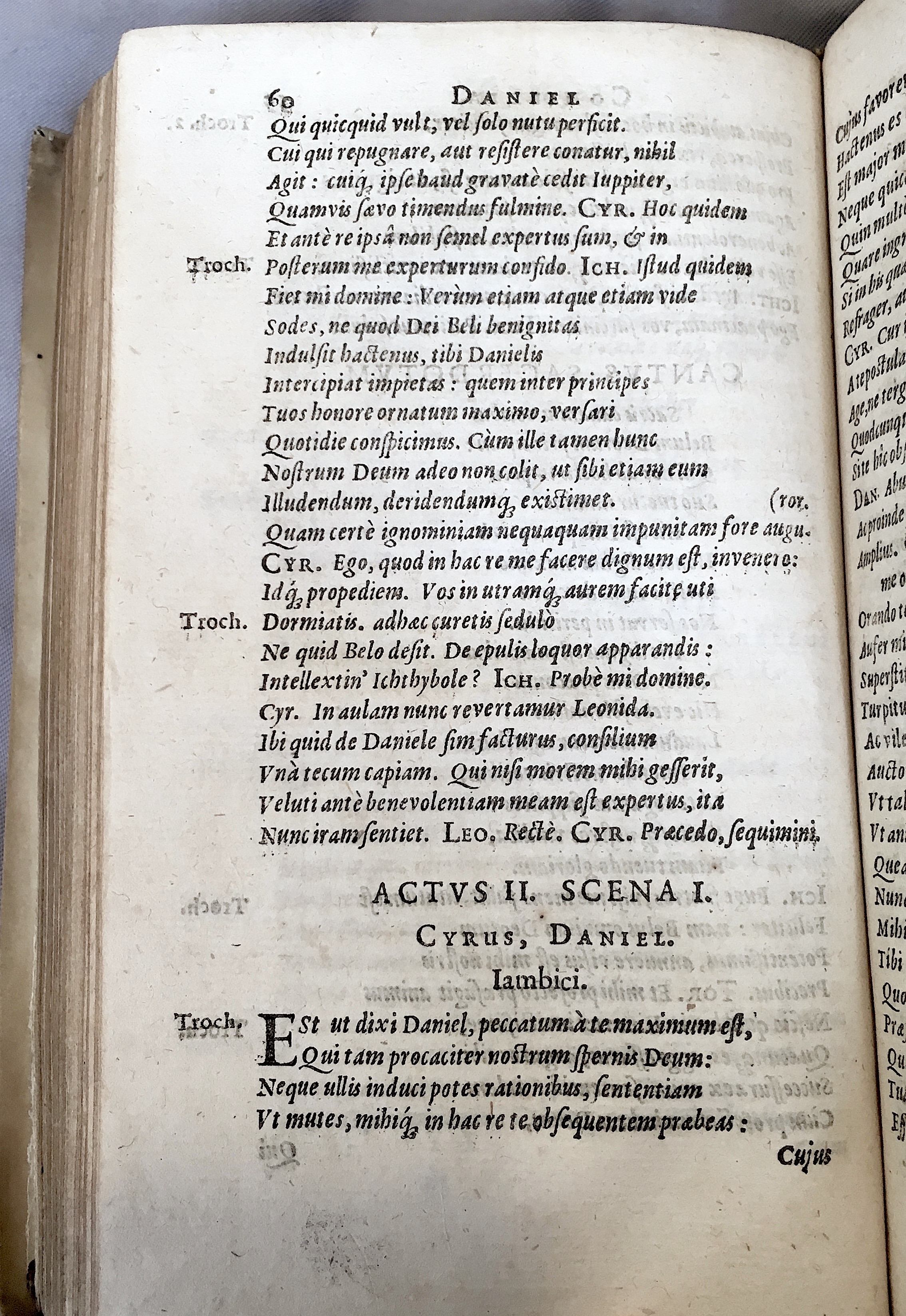 Schonaeus2Daniel1599p060.jpg