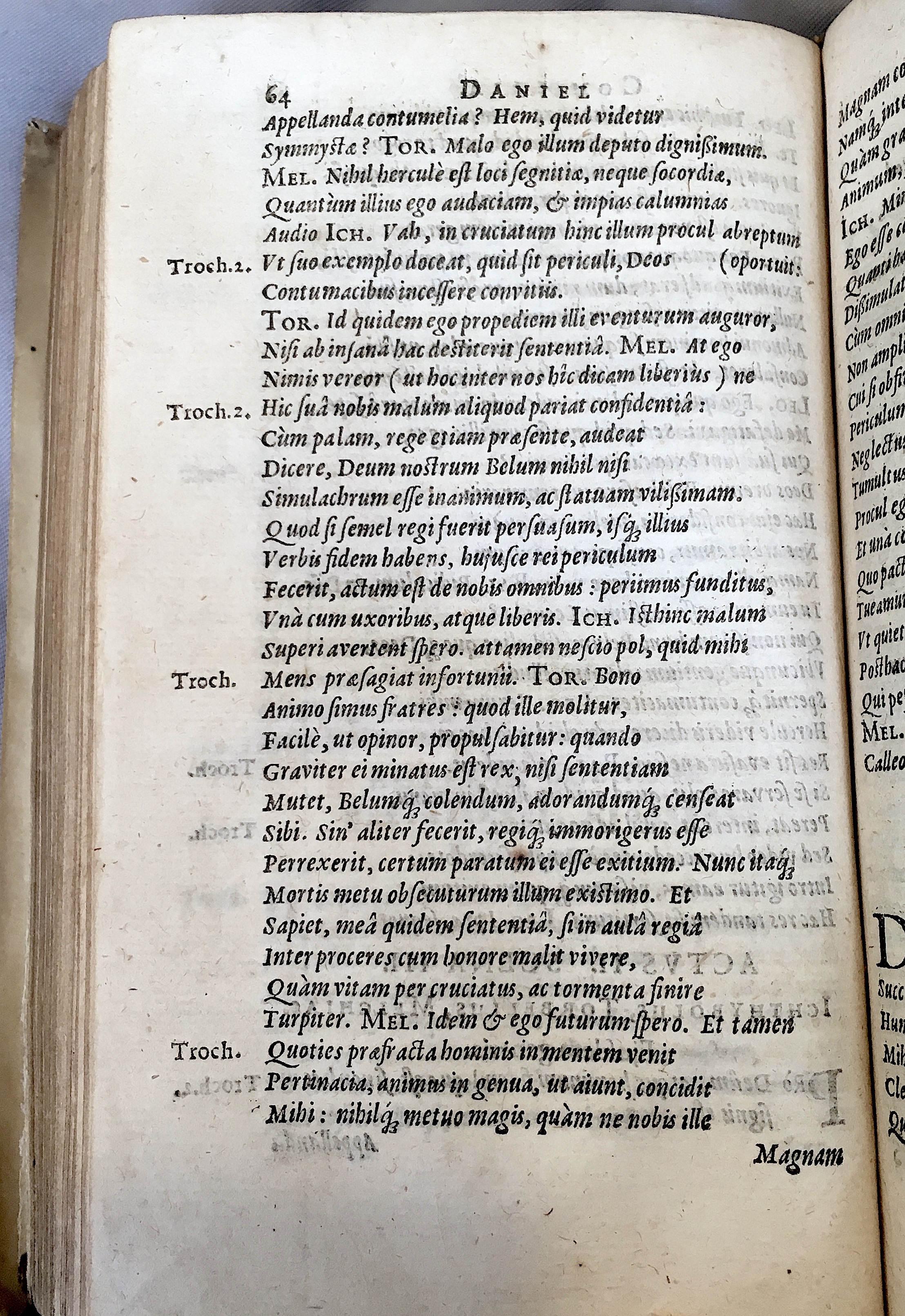 Schonaeus2Daniel1599p064.jpg