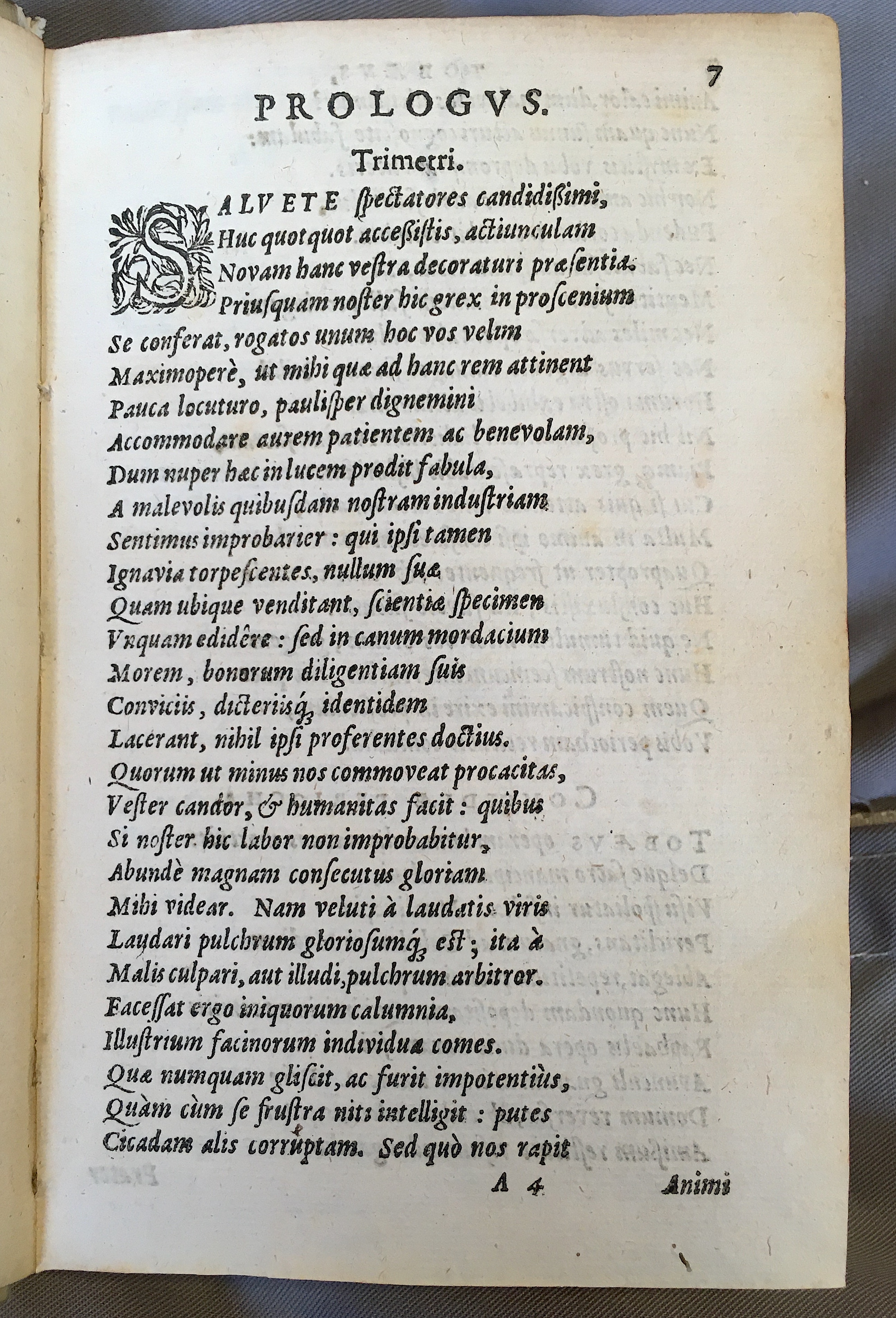 SchonaeusTobaeus1592p07.jpg