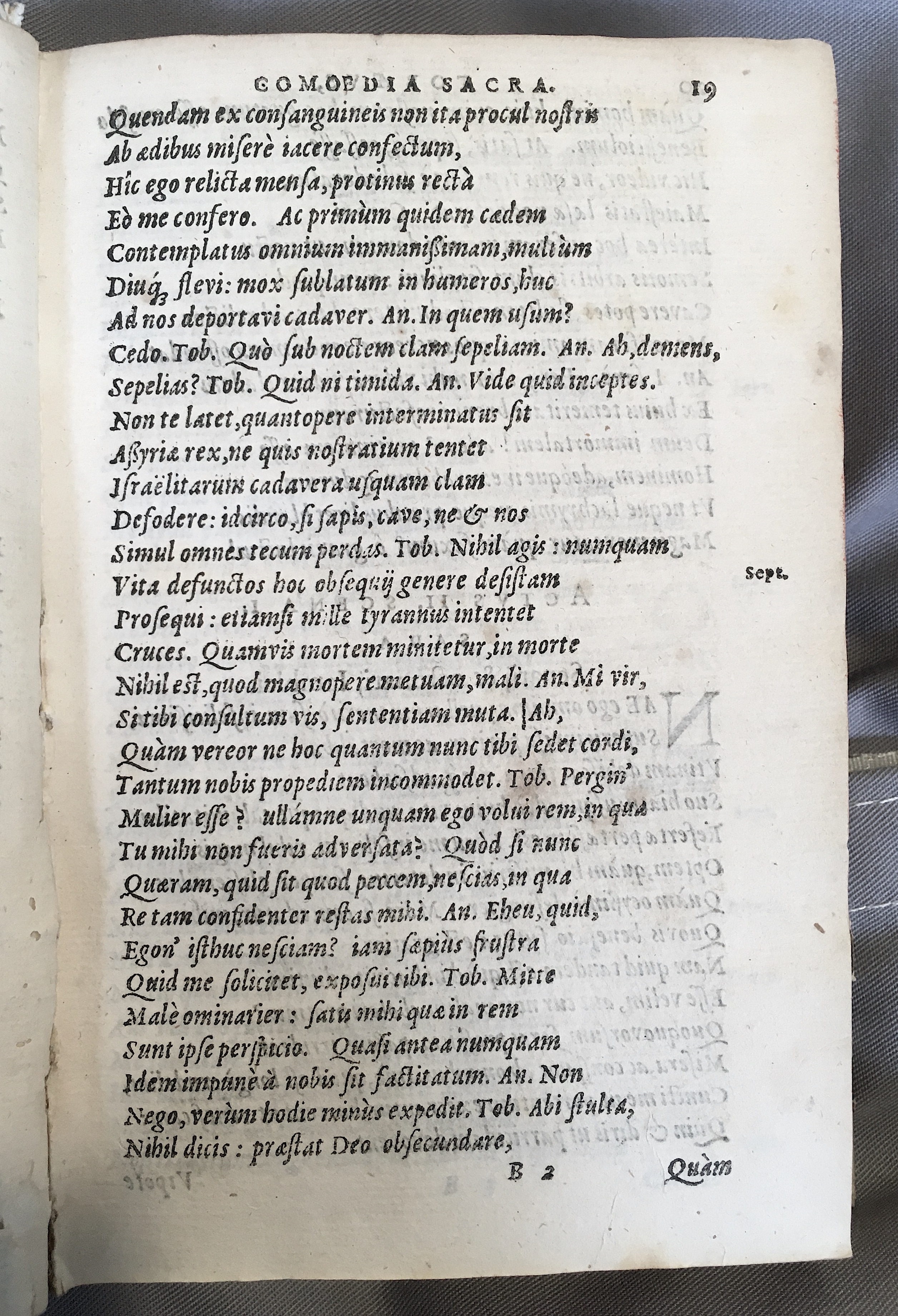 SchonaeusTobaeus1592p19.jpg