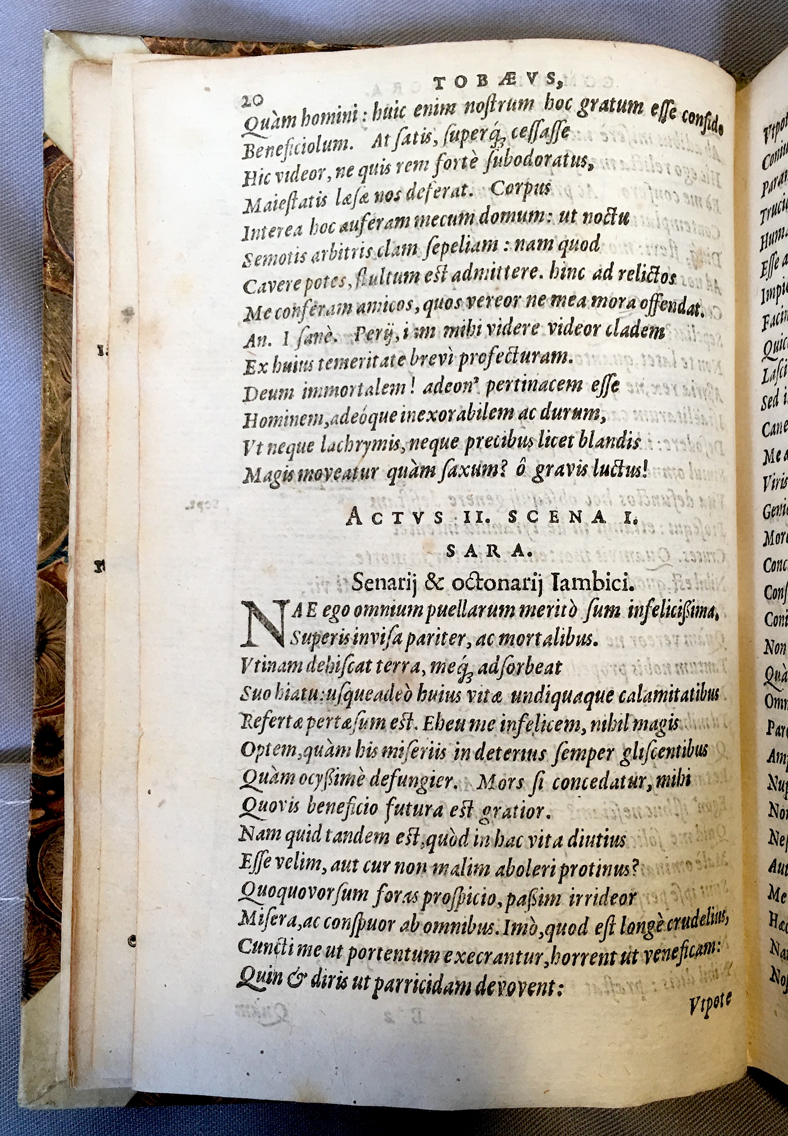 SchonaeusTobaeus1592p20.jpg