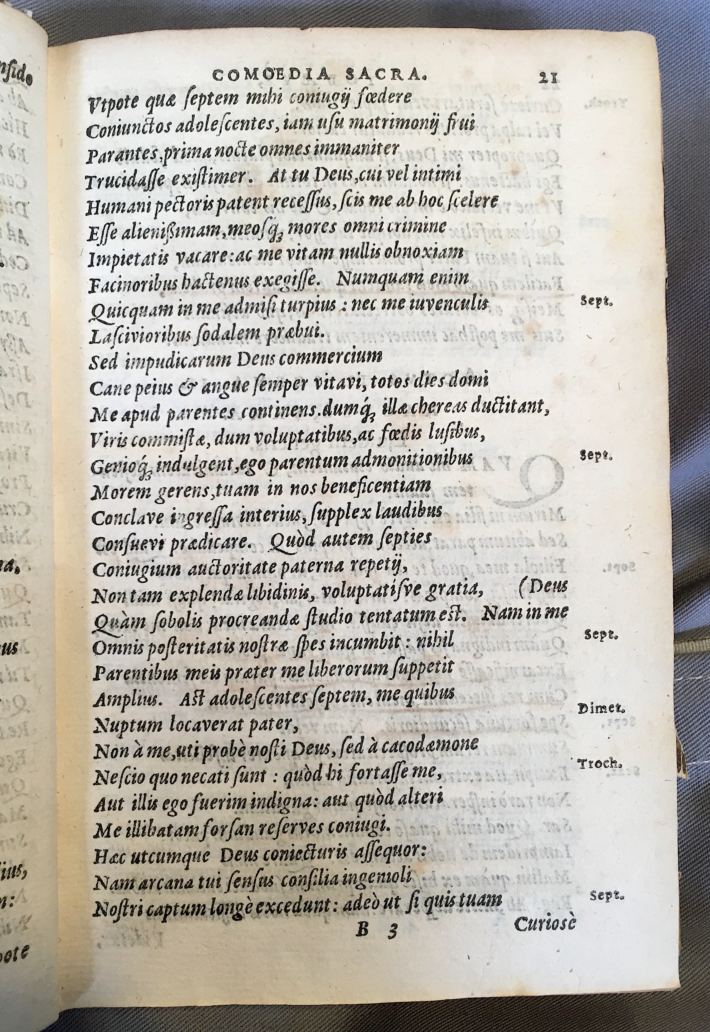 SchonaeusTobaeus1592p21.jpg