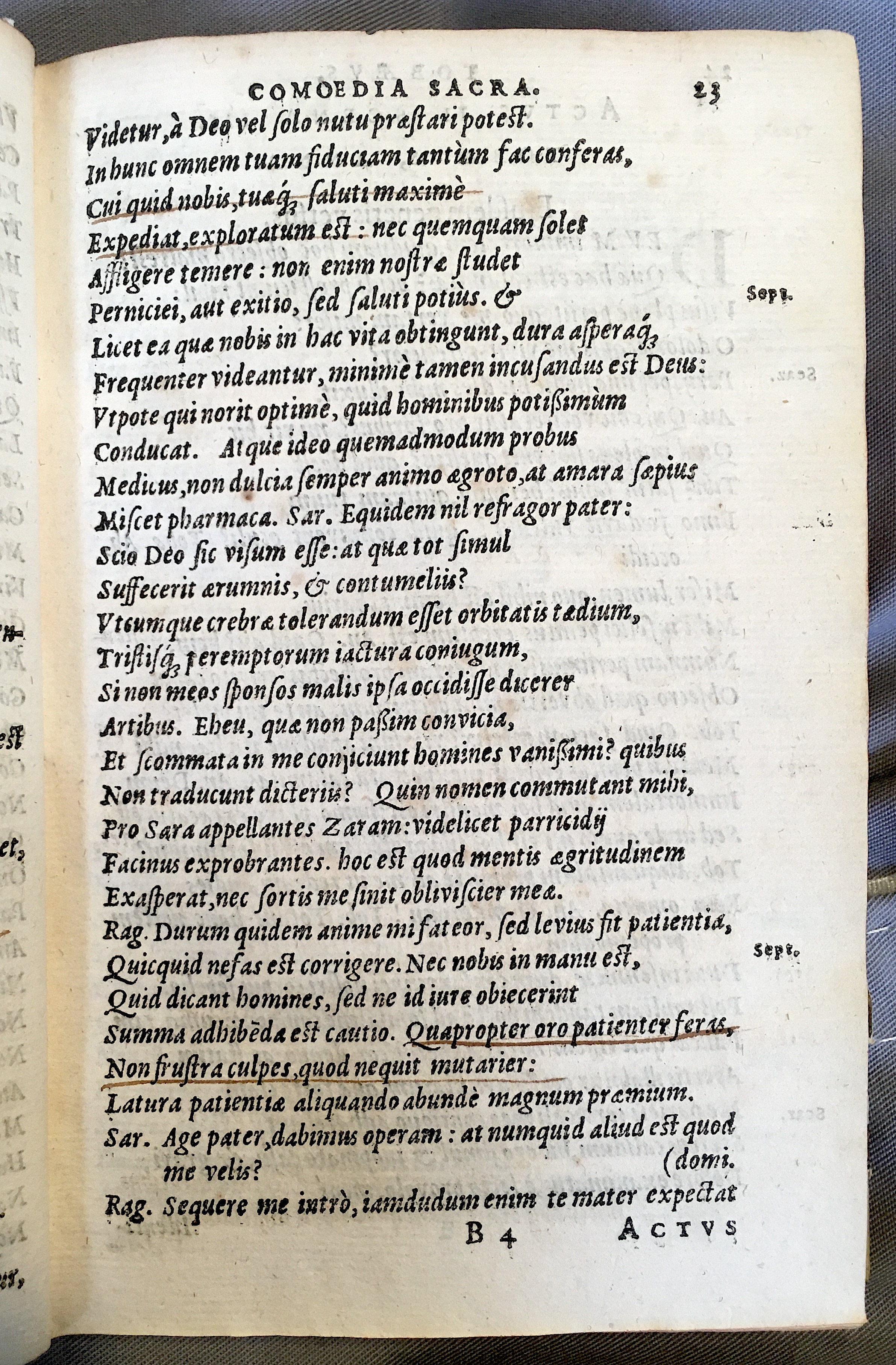 SchonaeusTobaeus1592p23.jpg