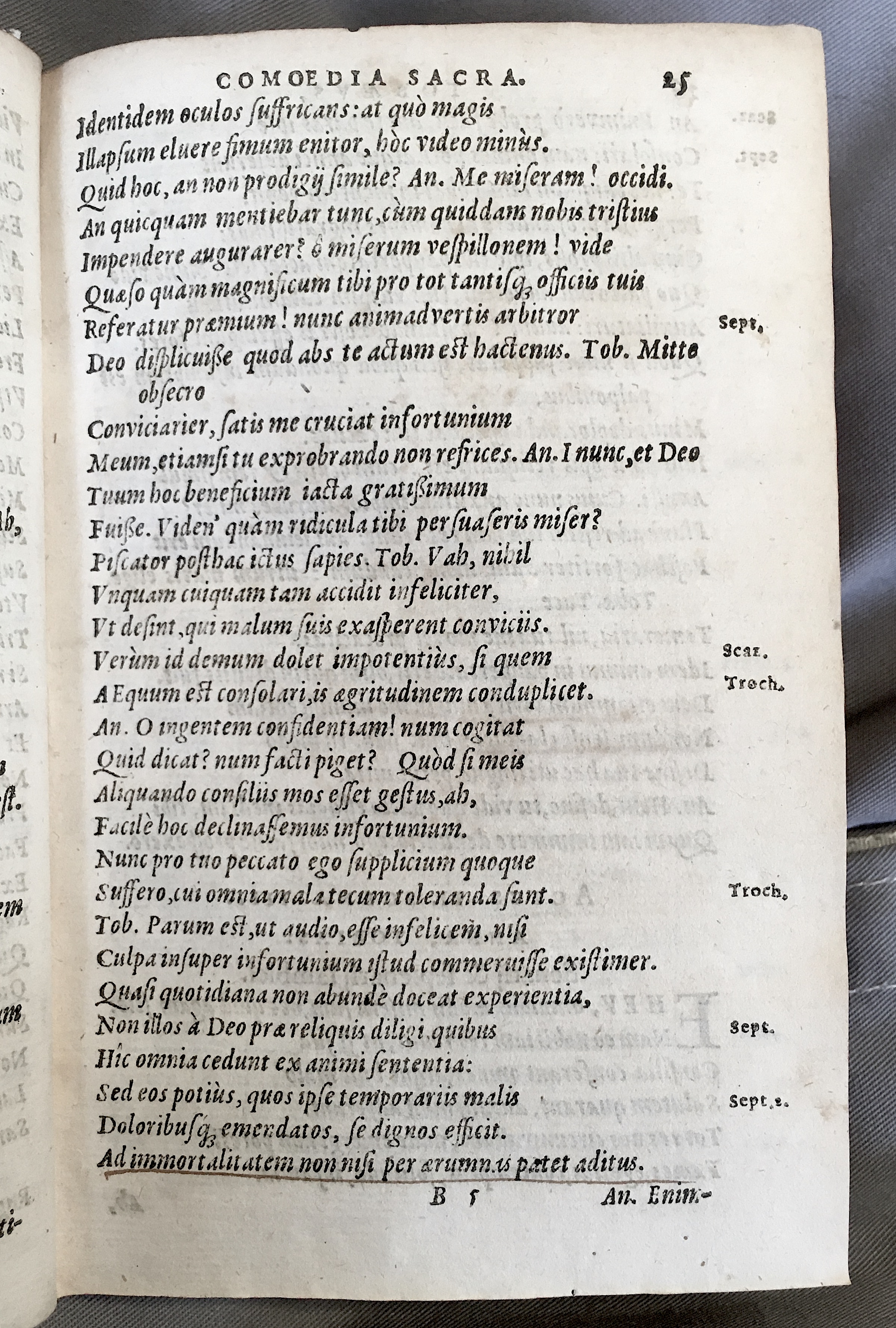 SchonaeusTobaeus1592p25.jpg