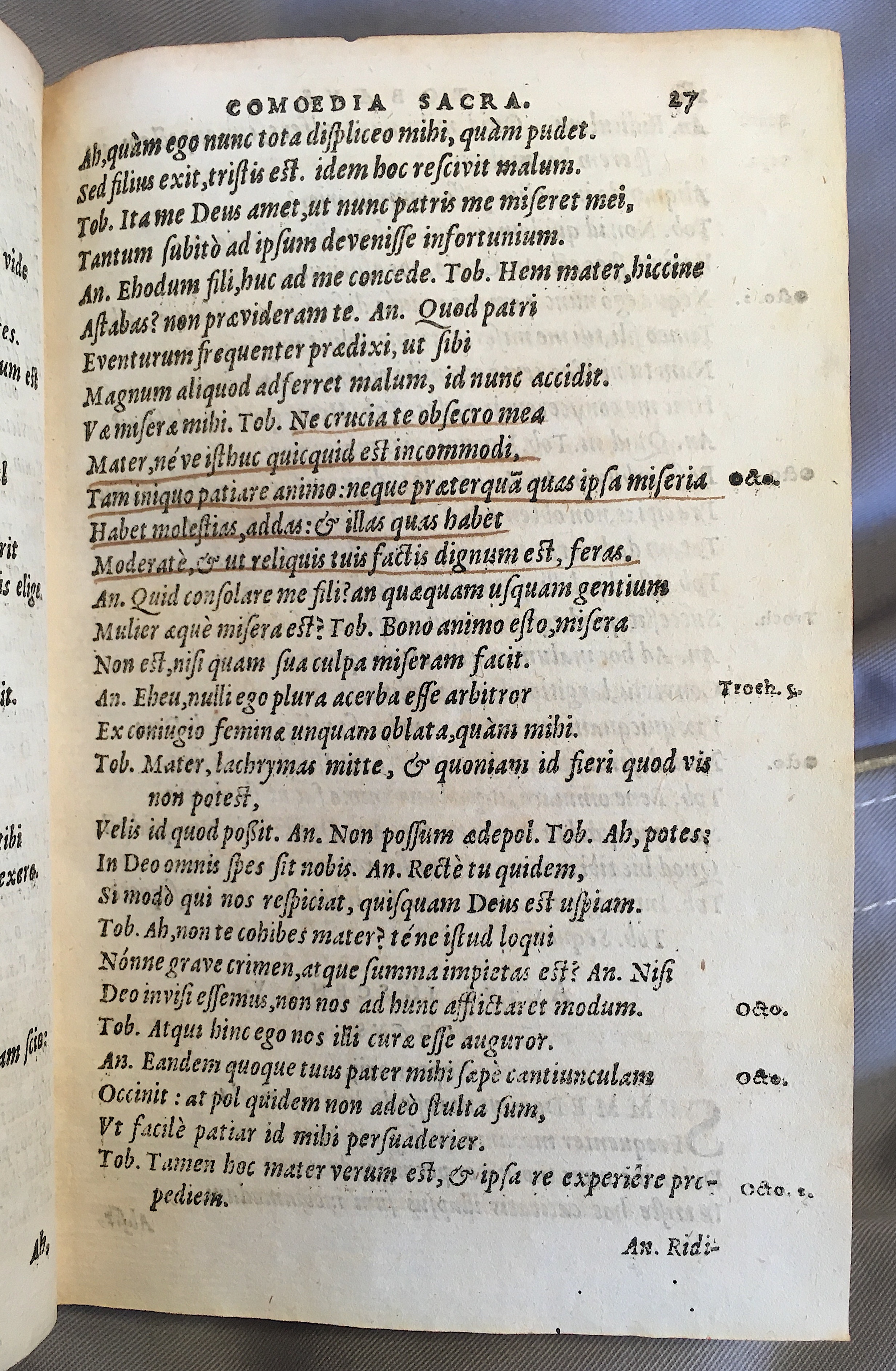 SchonaeusTobaeus1592p27.jpg