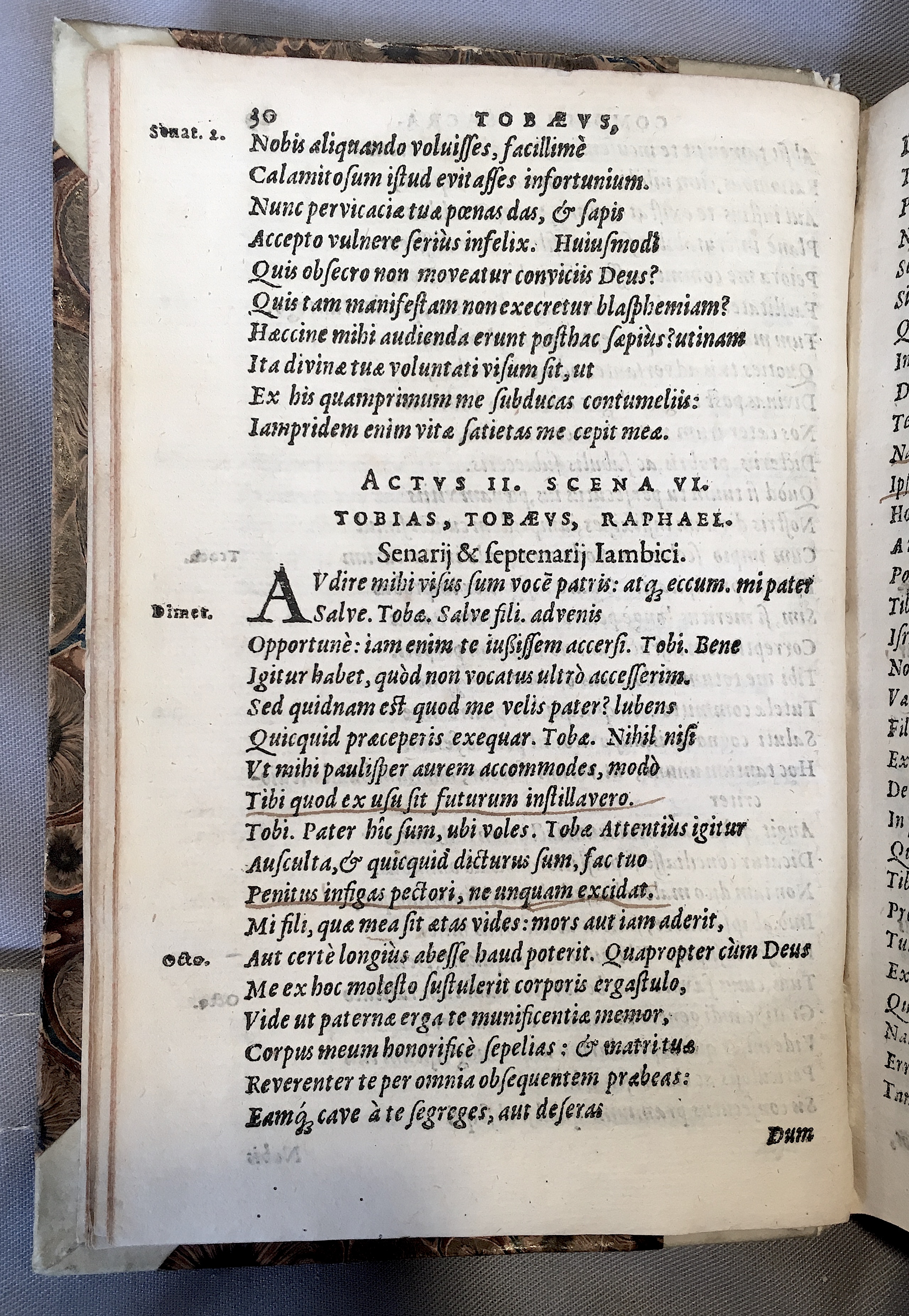 SchonaeusTobaeus1592p30.jpg