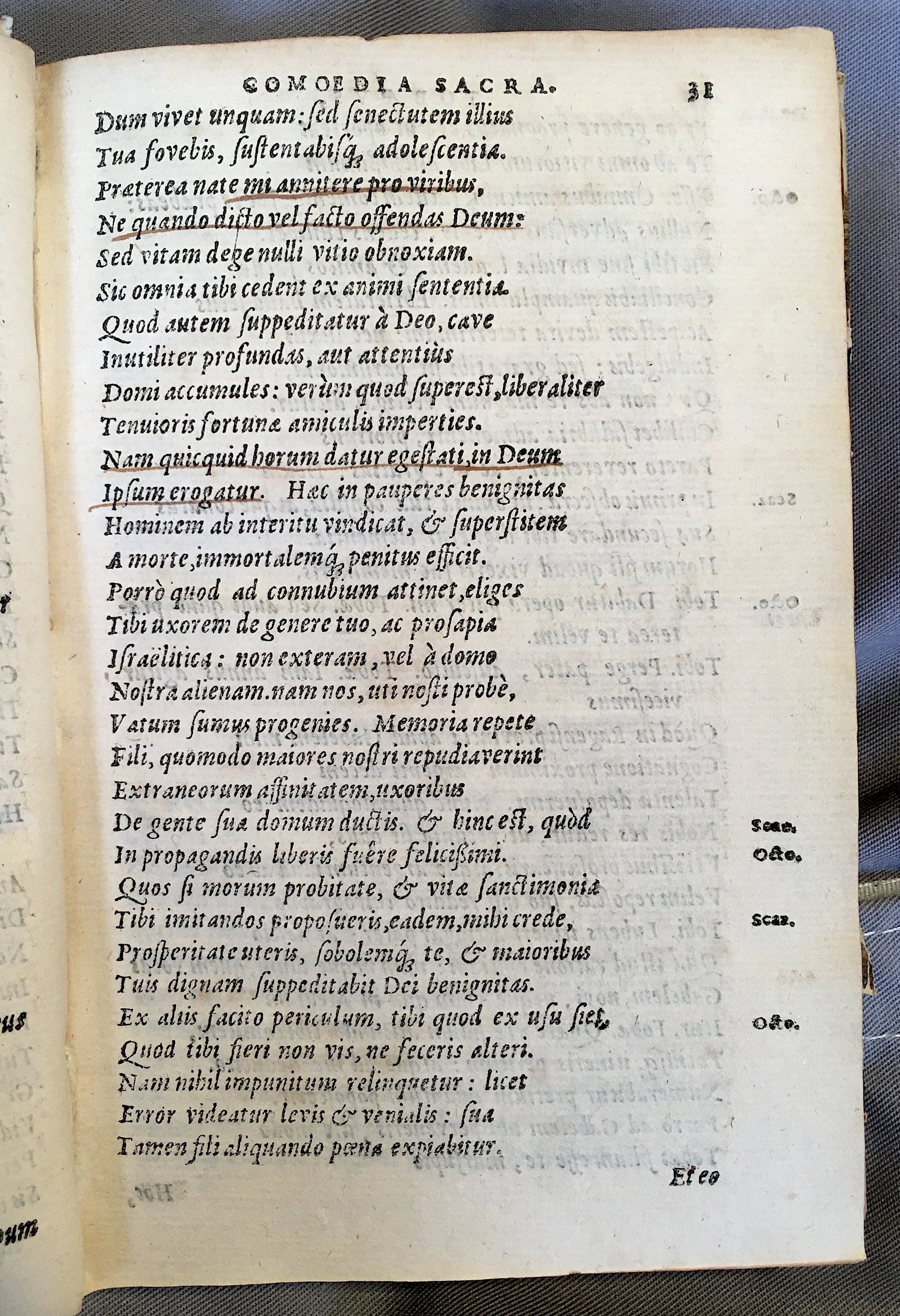 SchonaeusTobaeus1592p31.jpg