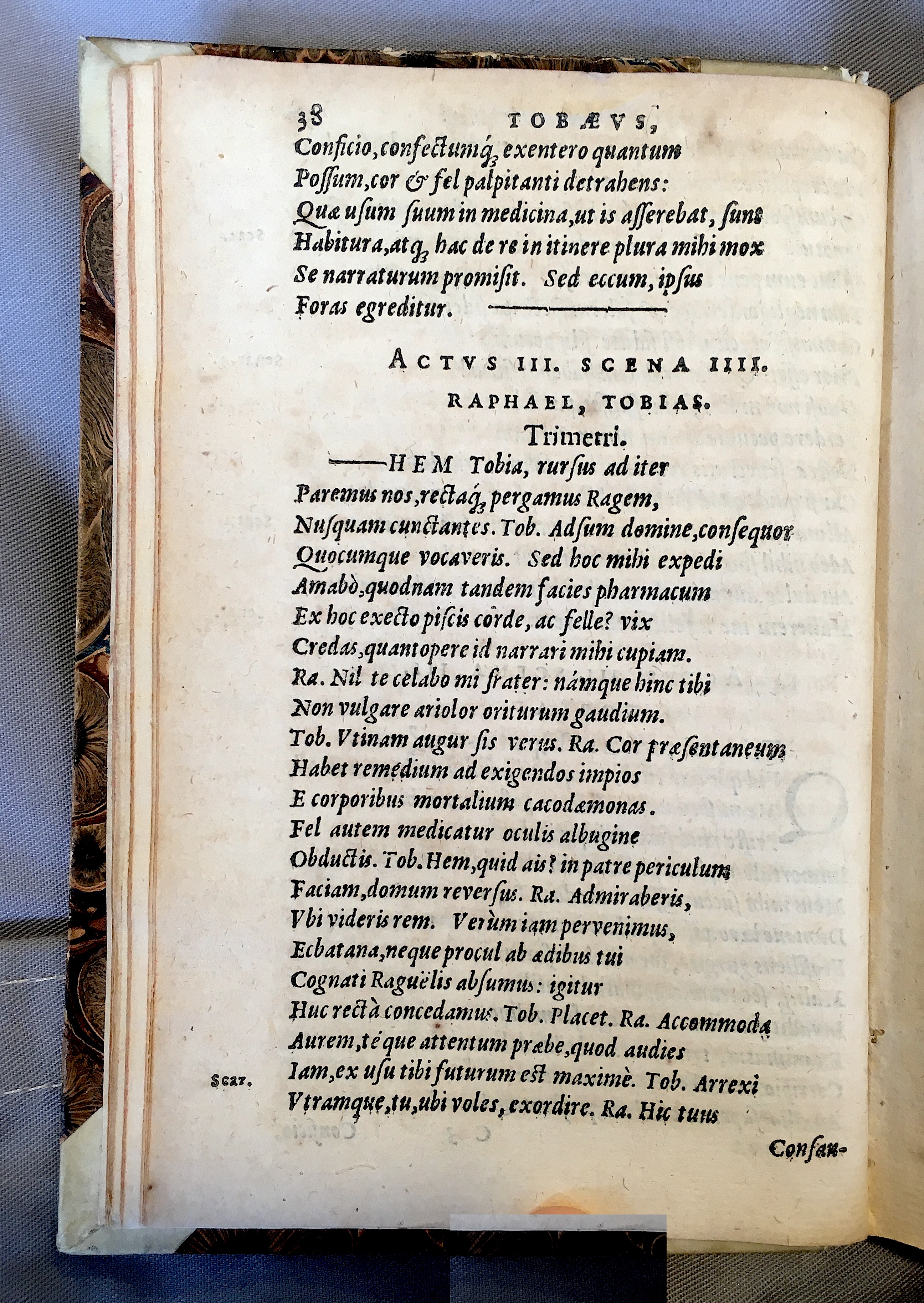 SchonaeusTobaeus1592p38.jpg