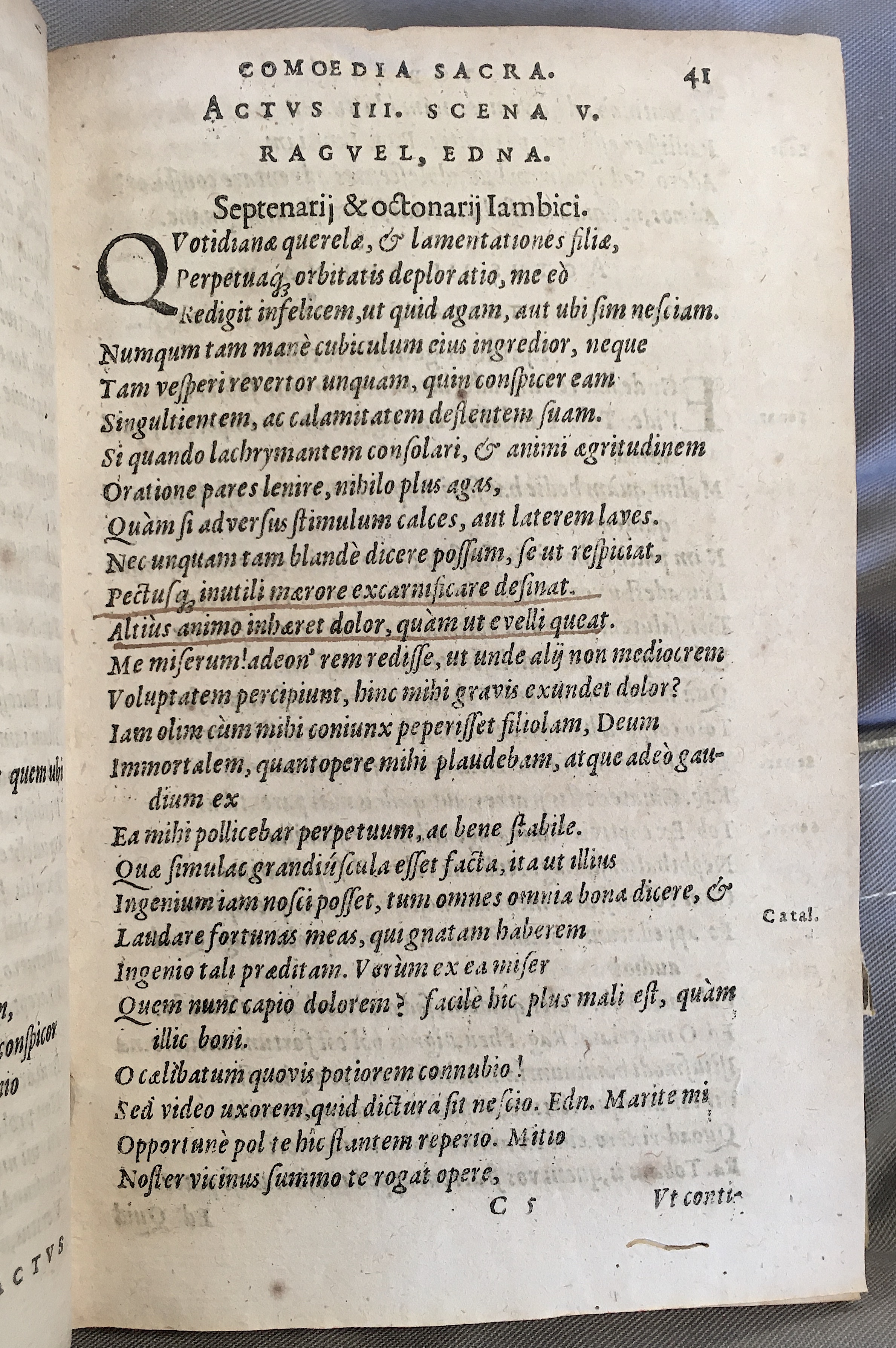 SchonaeusTobaeus1592p41.jpg