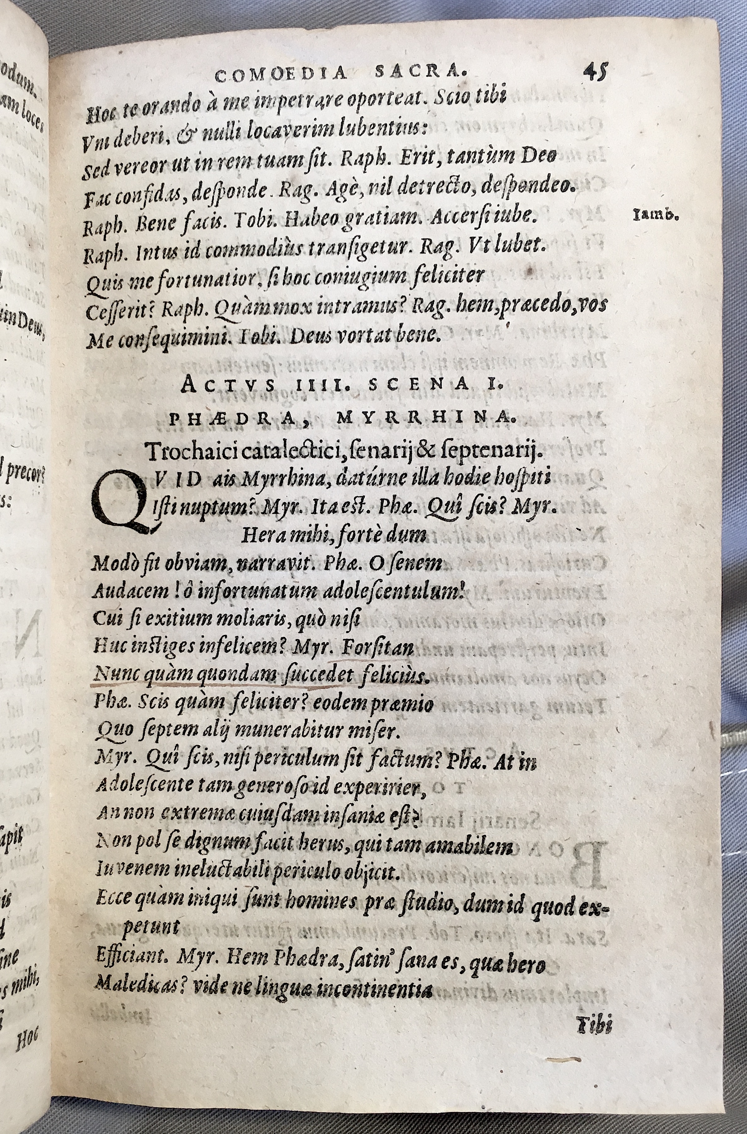 SchonaeusTobaeus1592p45.jpg