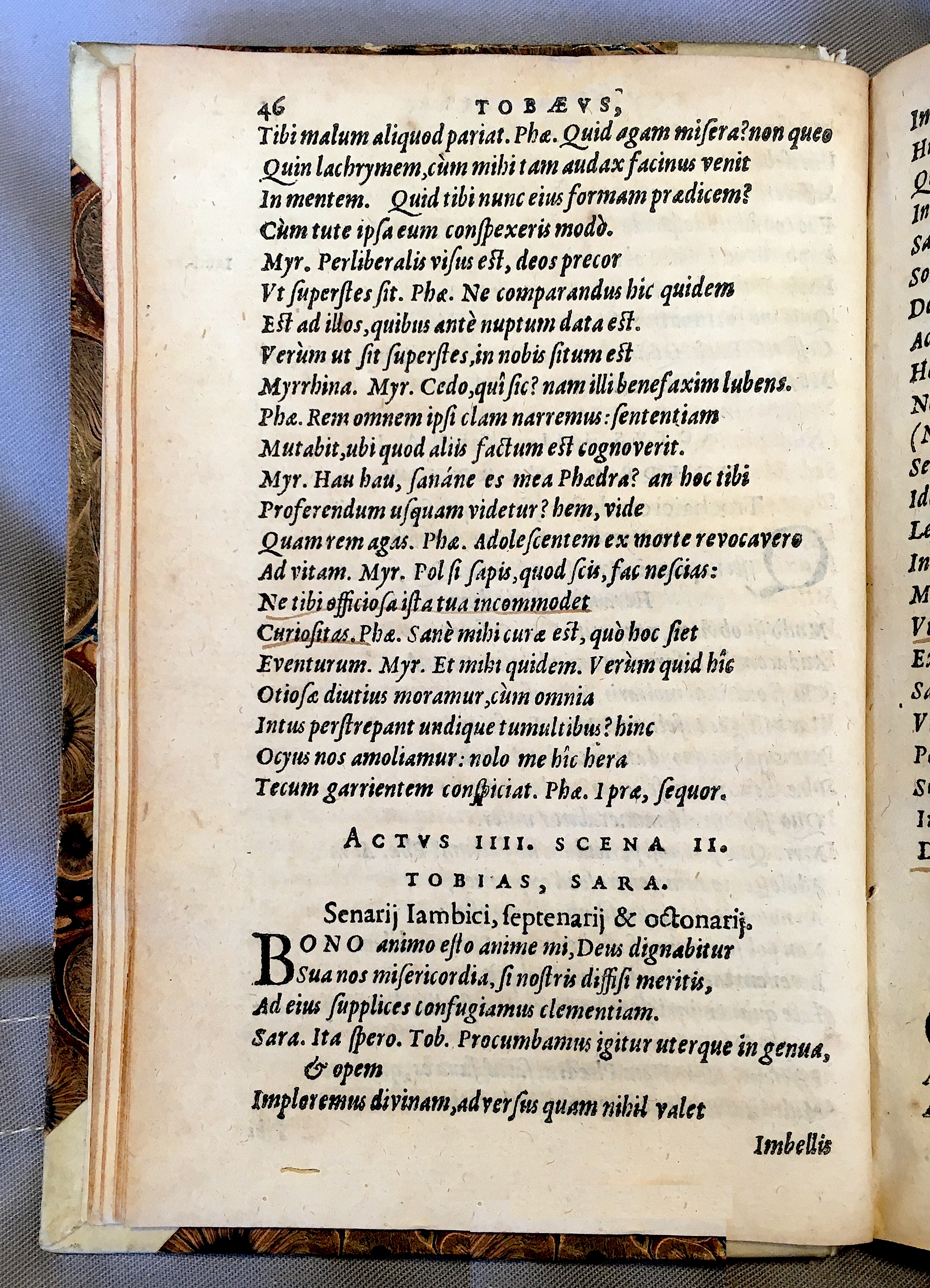 SchonaeusTobaeus1592p46.jpg