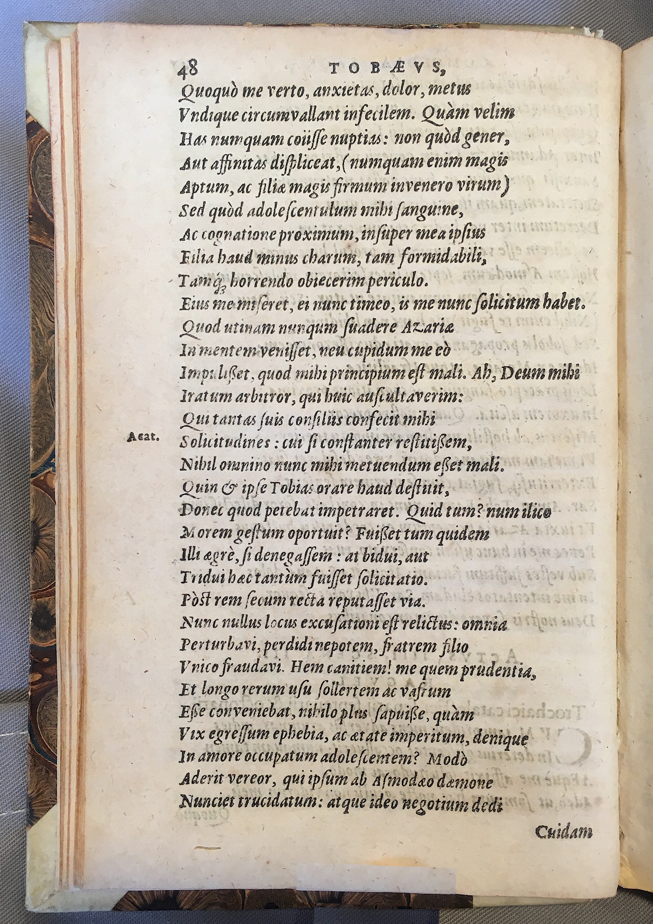 SchonaeusTobaeus1592p48.jpg