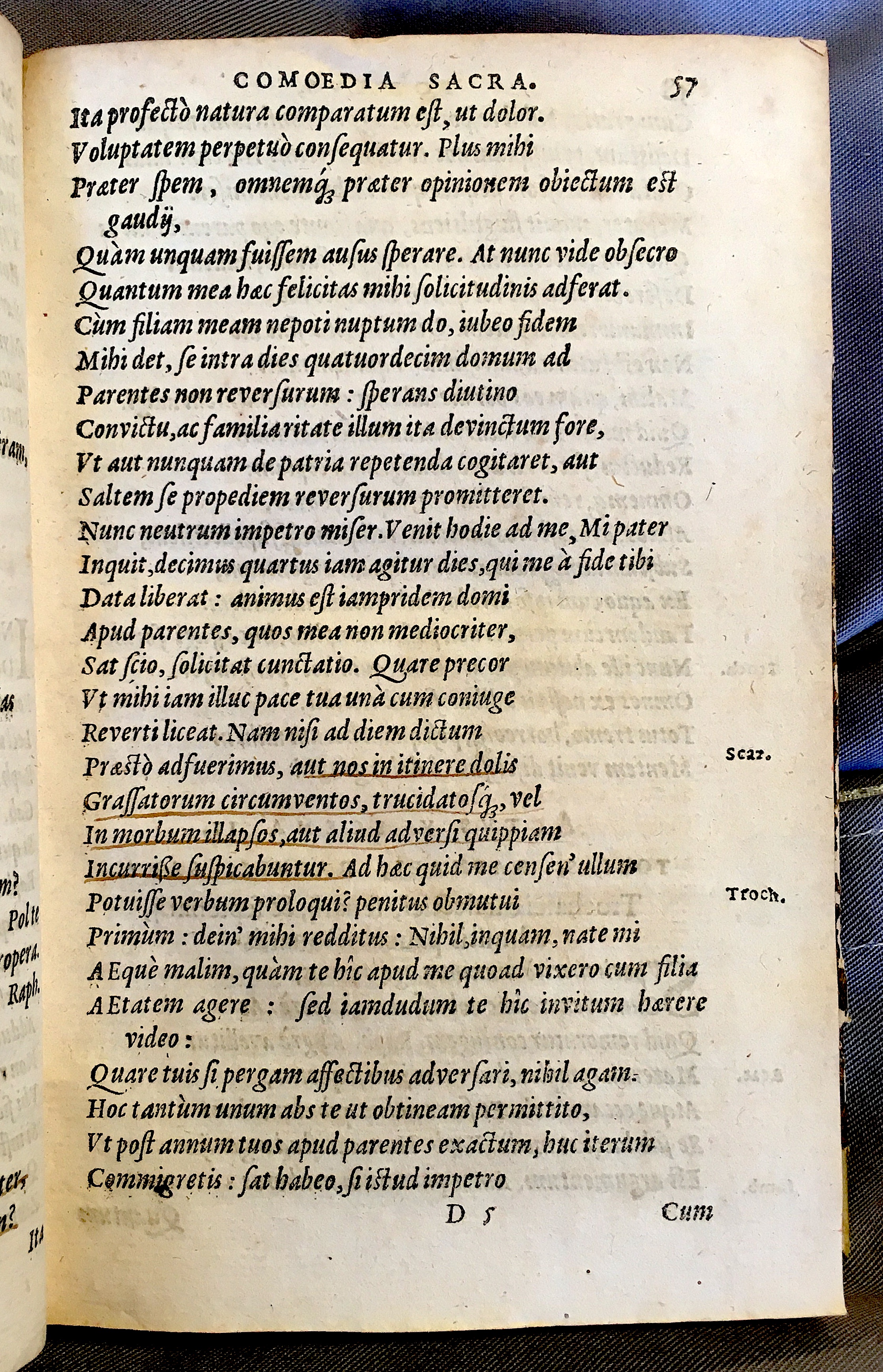 SchonaeusTobaeus1592p57.jpg