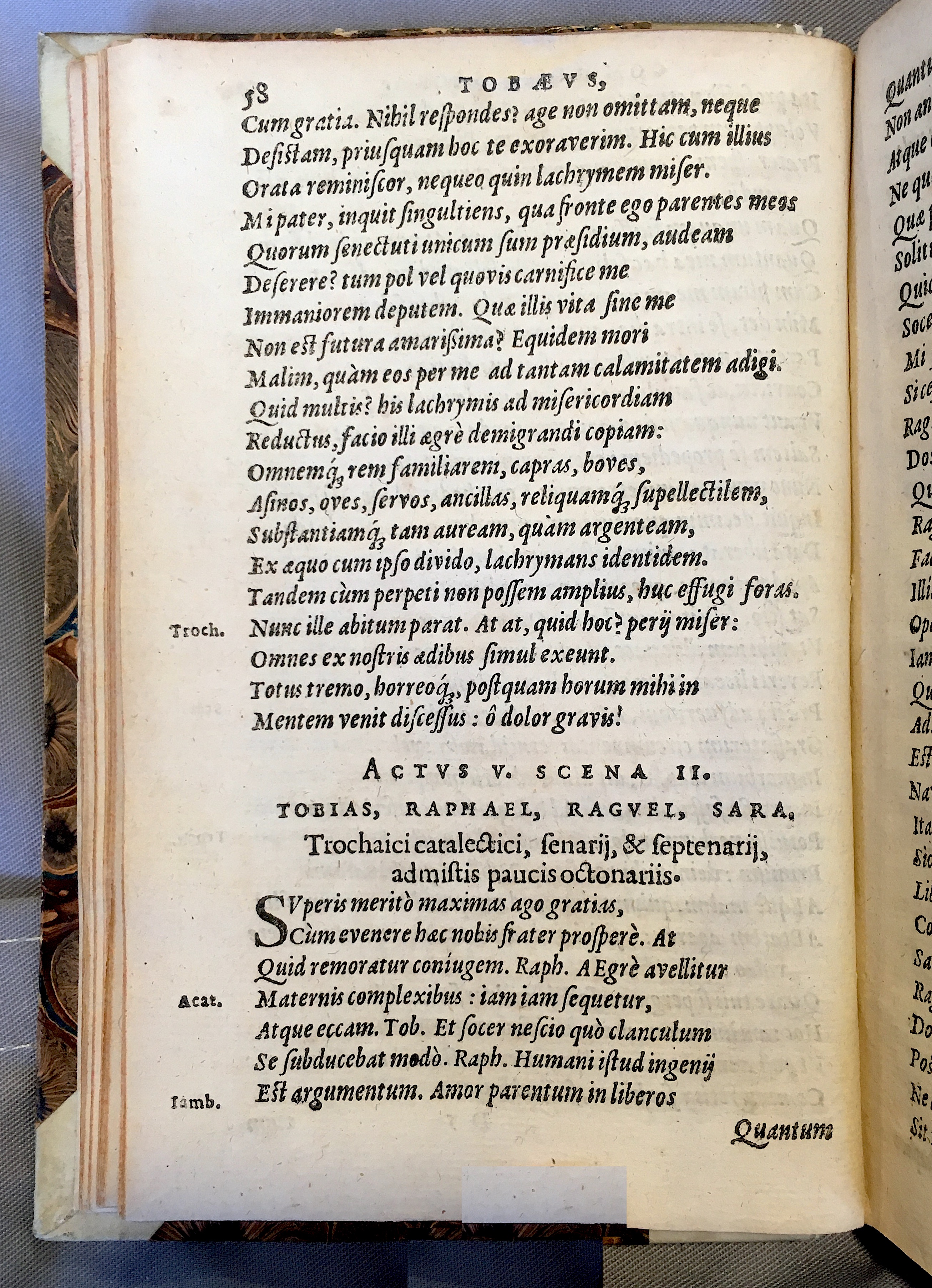 SchonaeusTobaeus1592p58.jpg