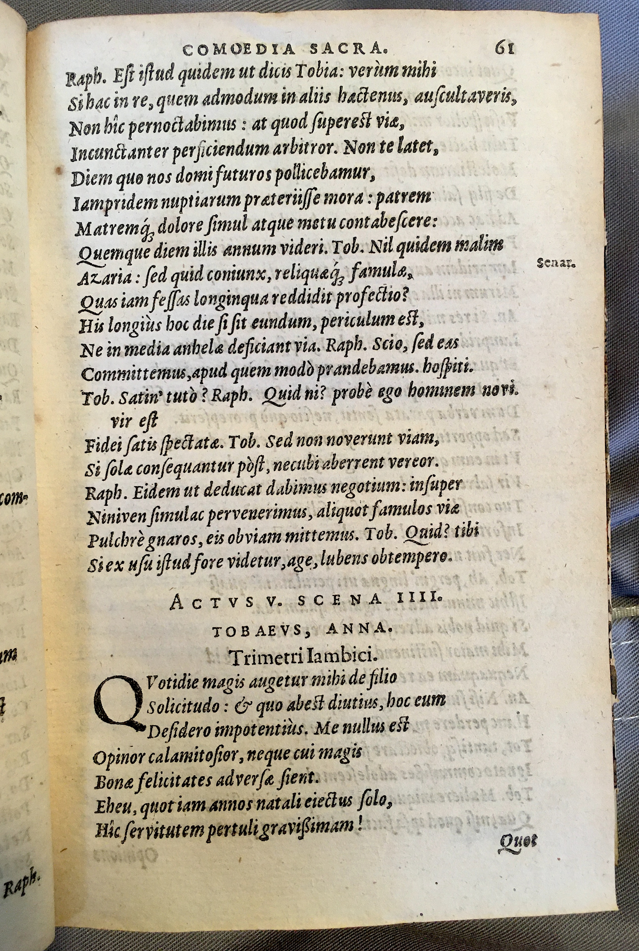 SchonaeusTobaeus1592p61.jpg