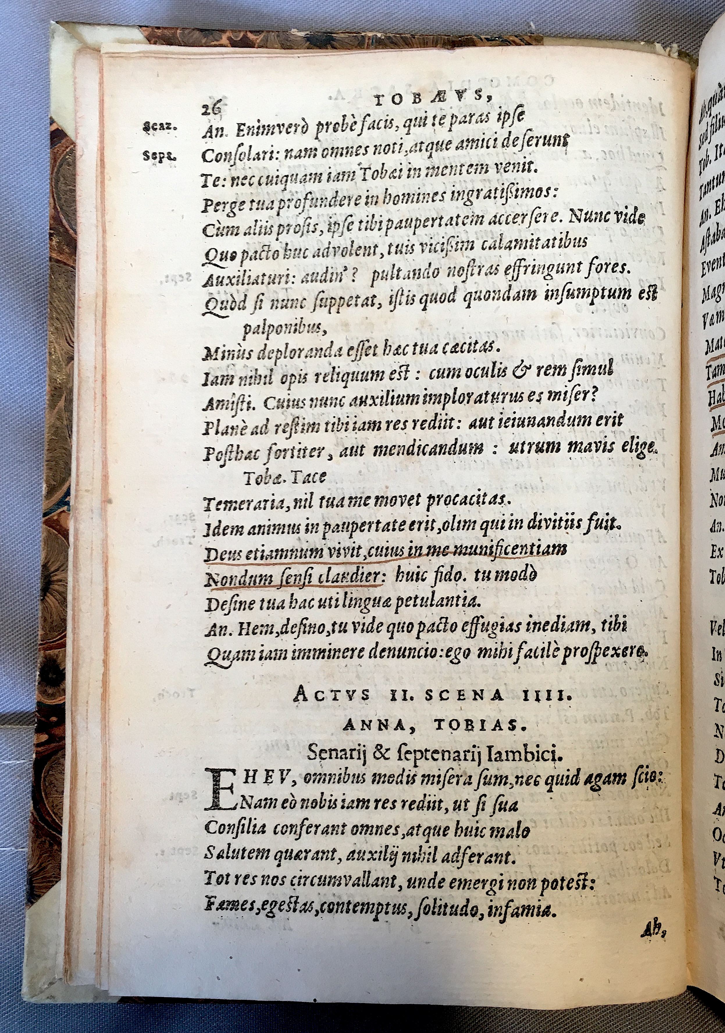 SchonaeusTobaeus1592p26