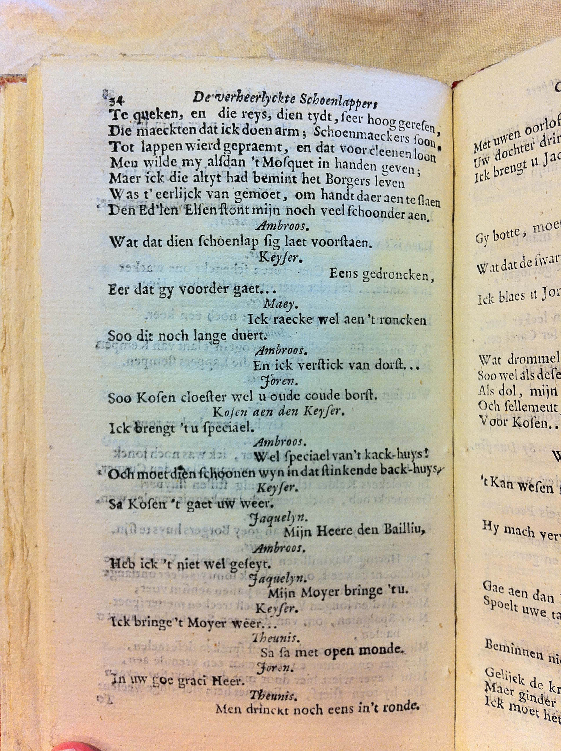 swaenleersse171834.jpg