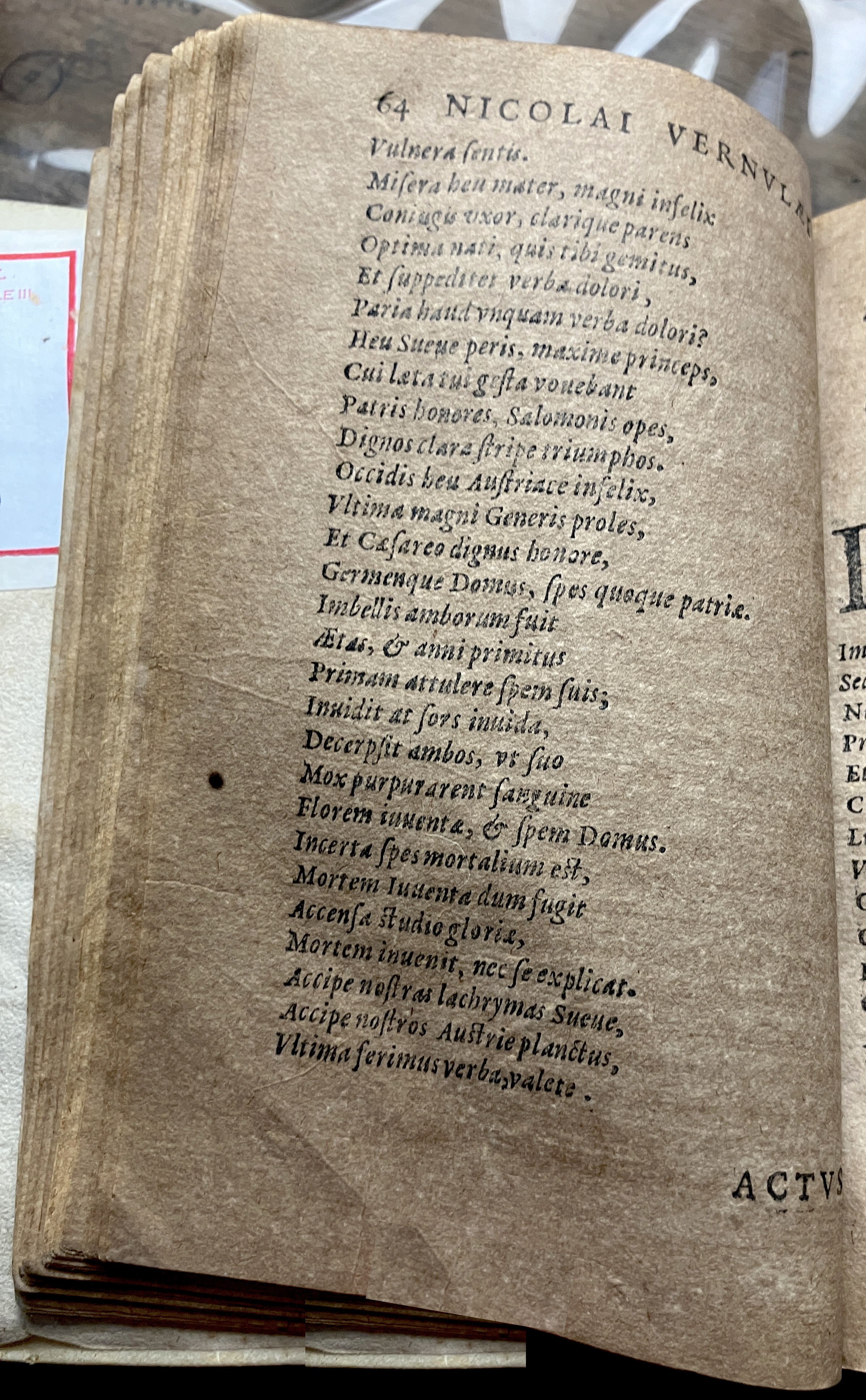 VernulaeusConradinus1631p064