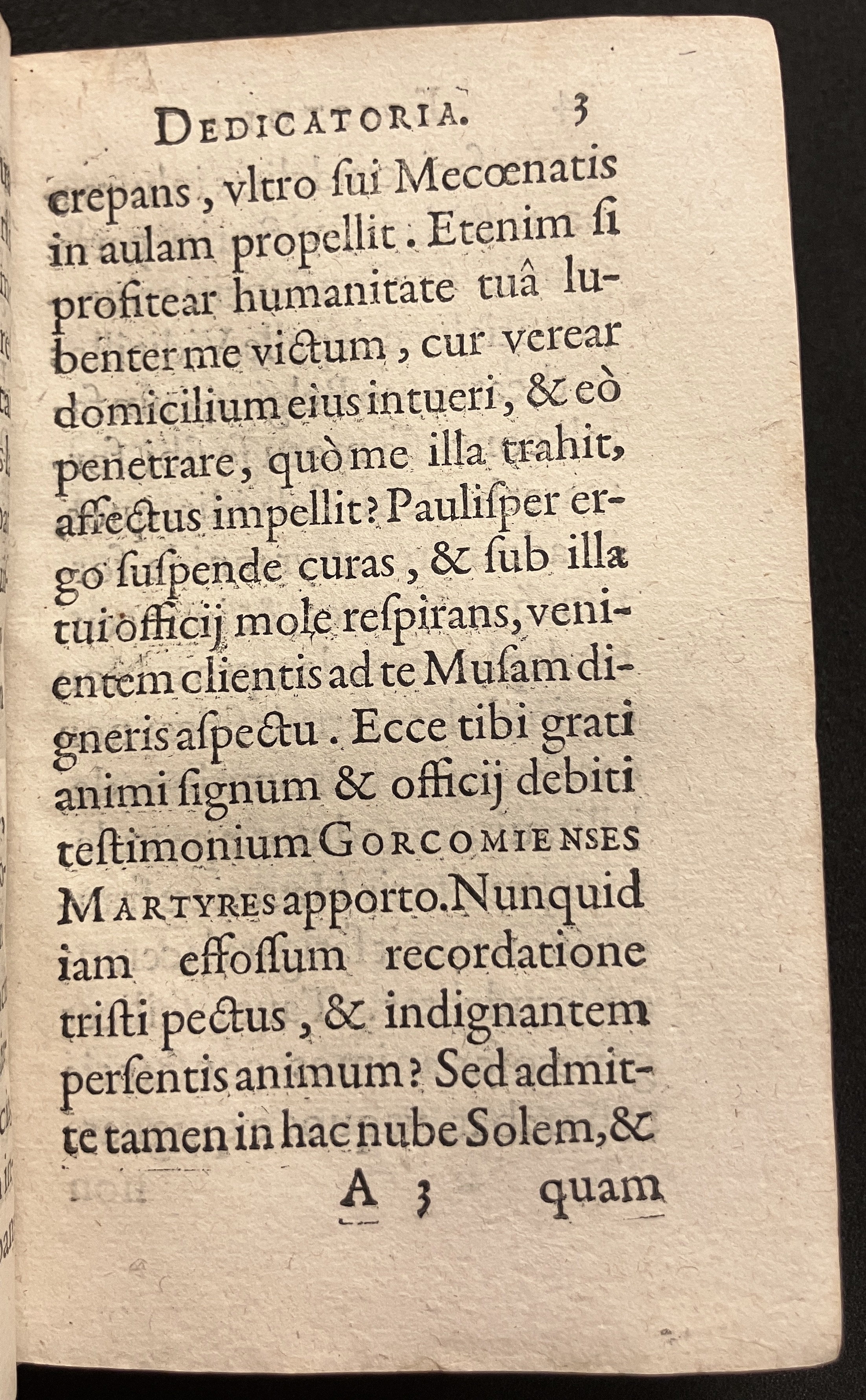 VernulaeusGorcomienses1610p005