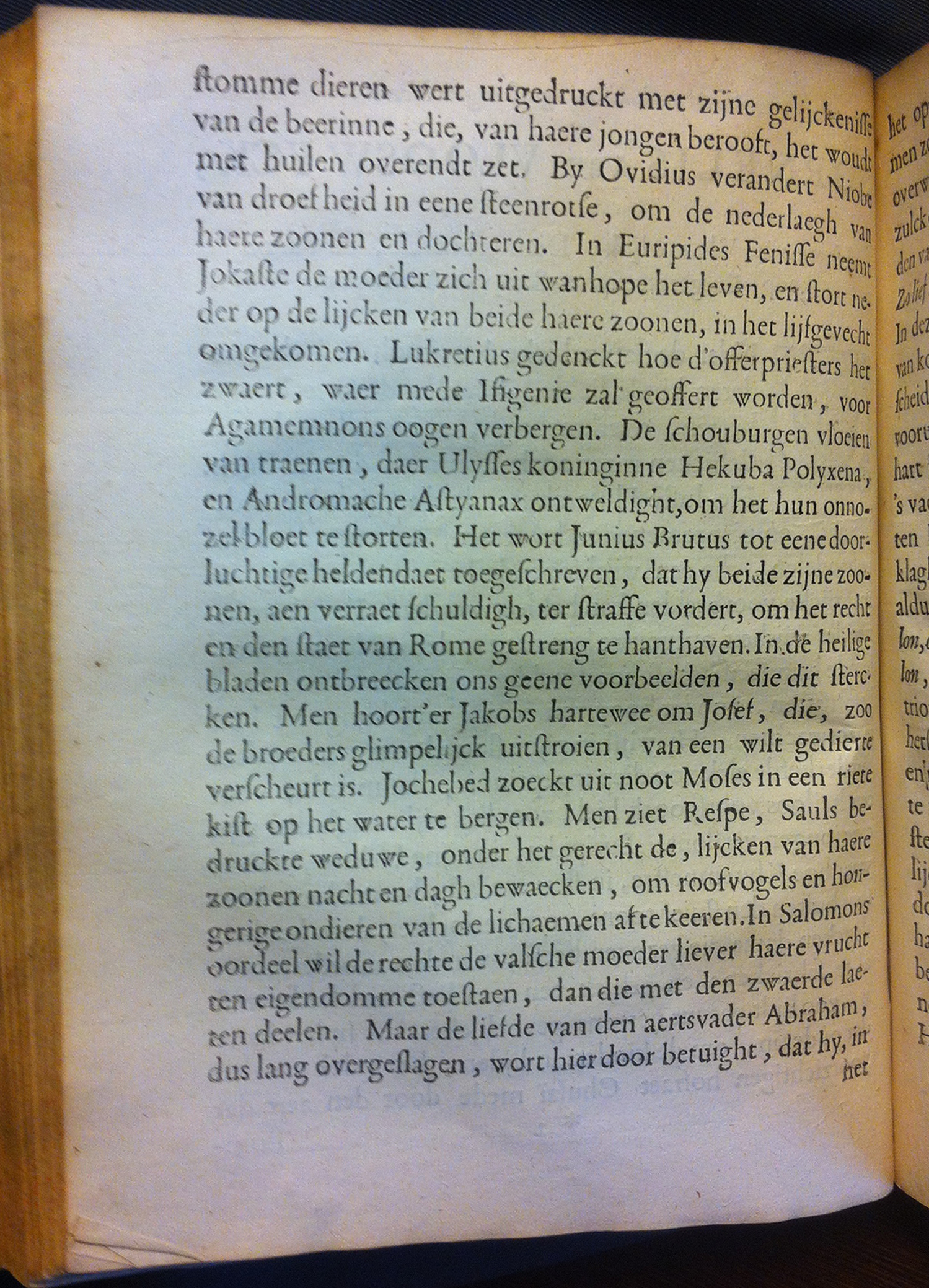 VondelDavidHerstelt1660a04.jpg