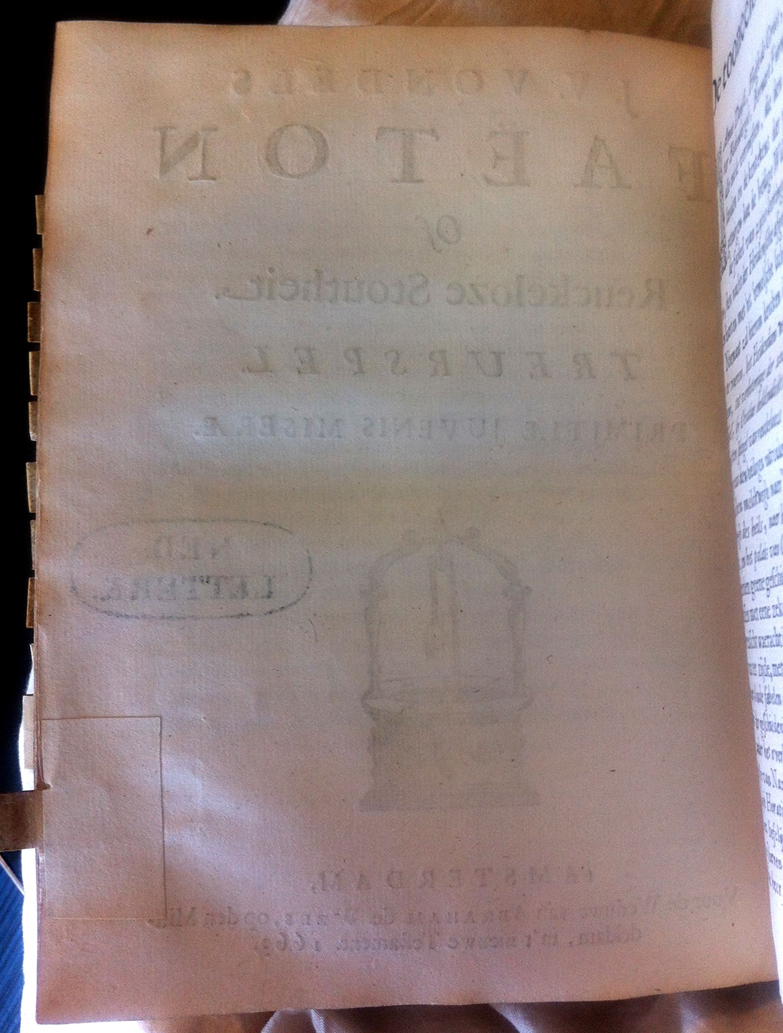 VondelFaeton166302