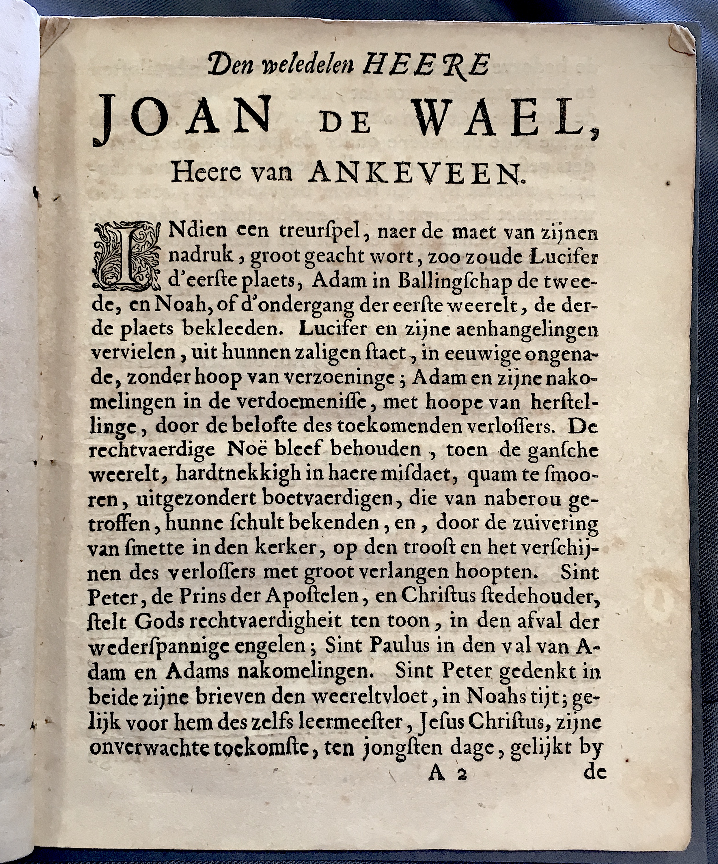 VondelNoah1667a03.jpg