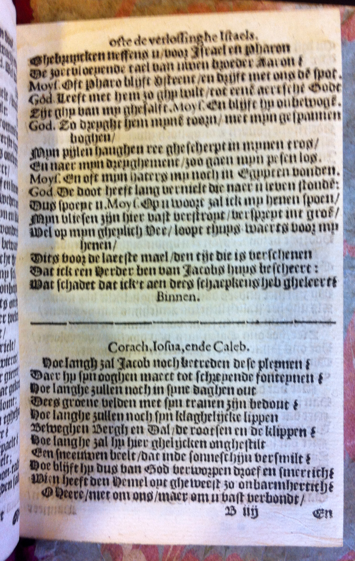 VondelPascha1612p23.jpg