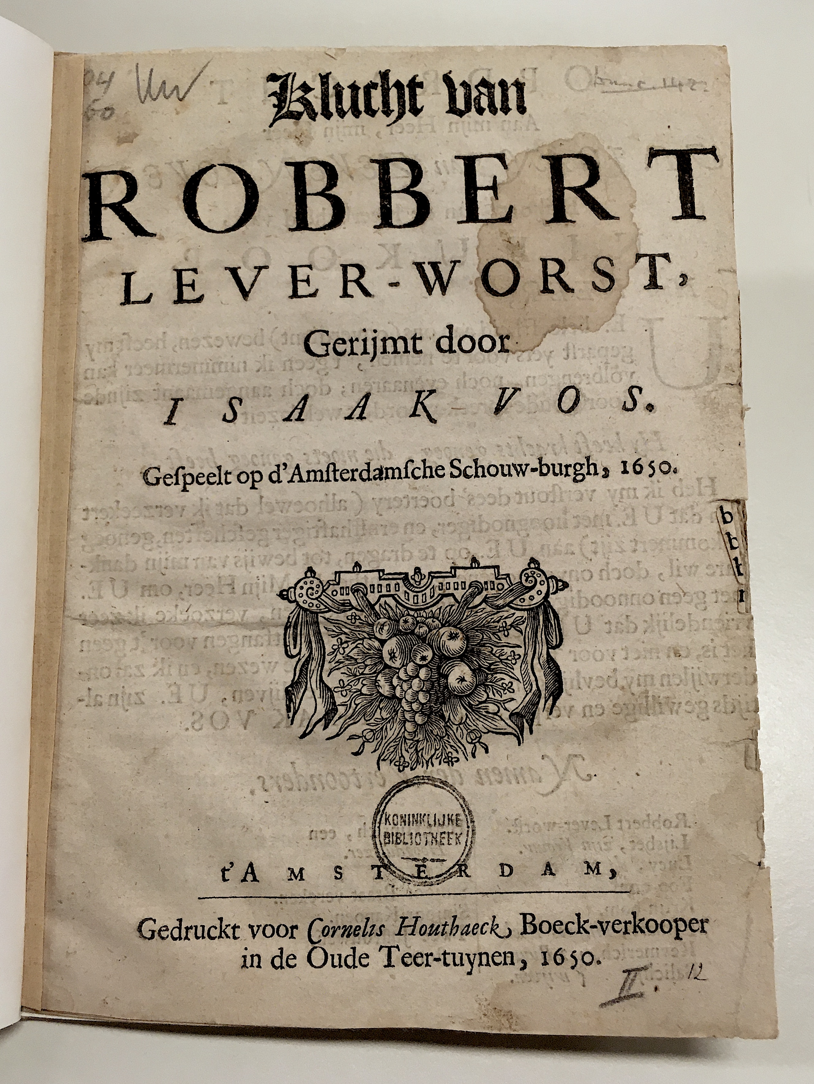 VosRobbert165001