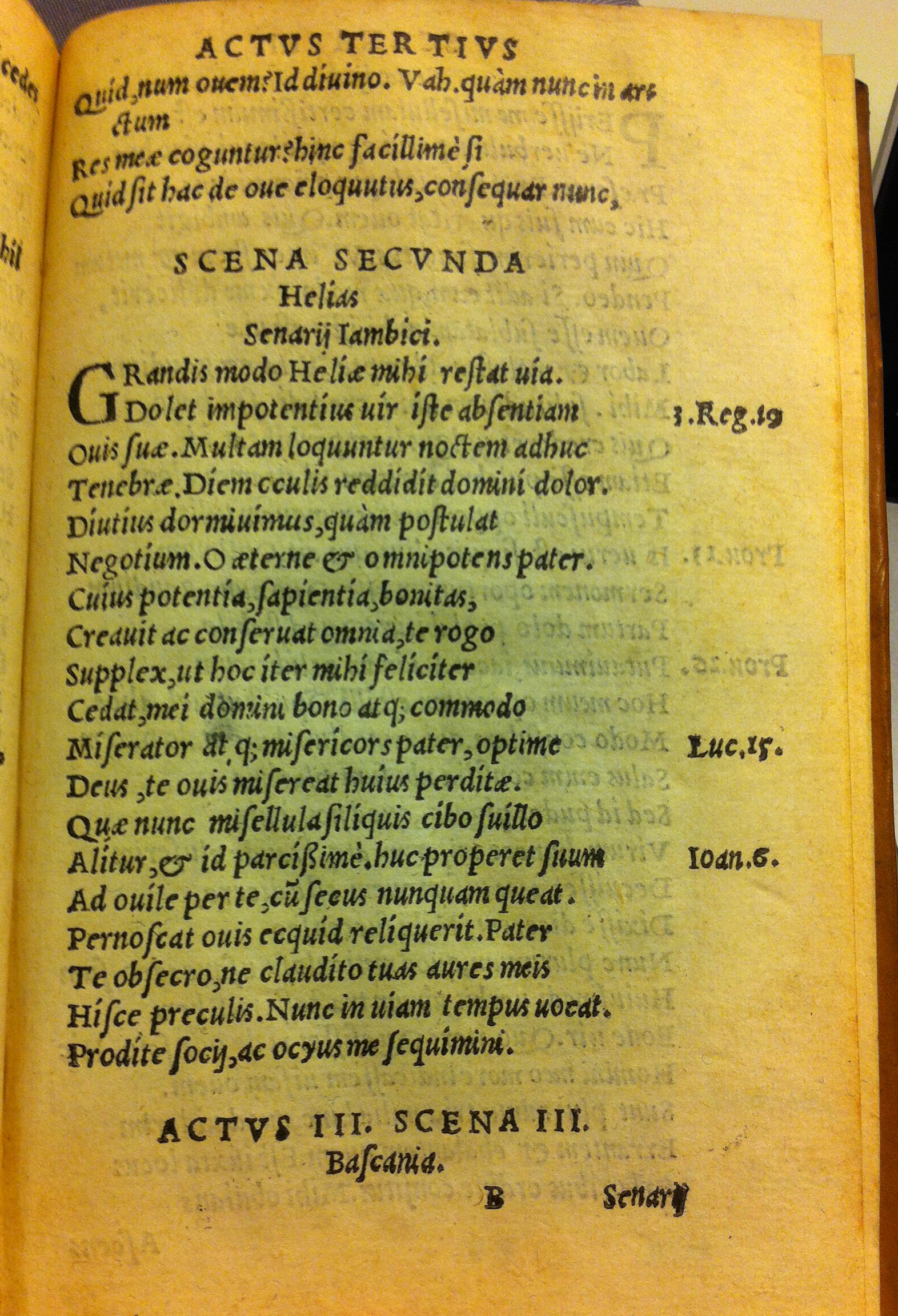 ZovitiusOvis153917