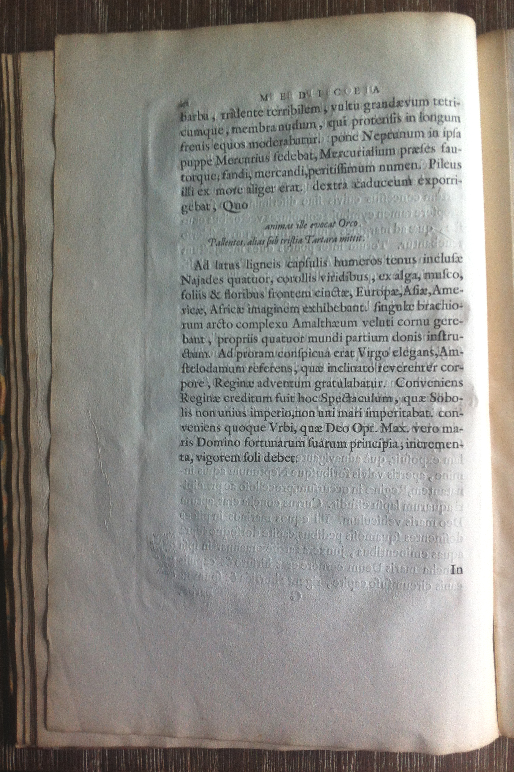 BarlaeusMH1638p42.jpg