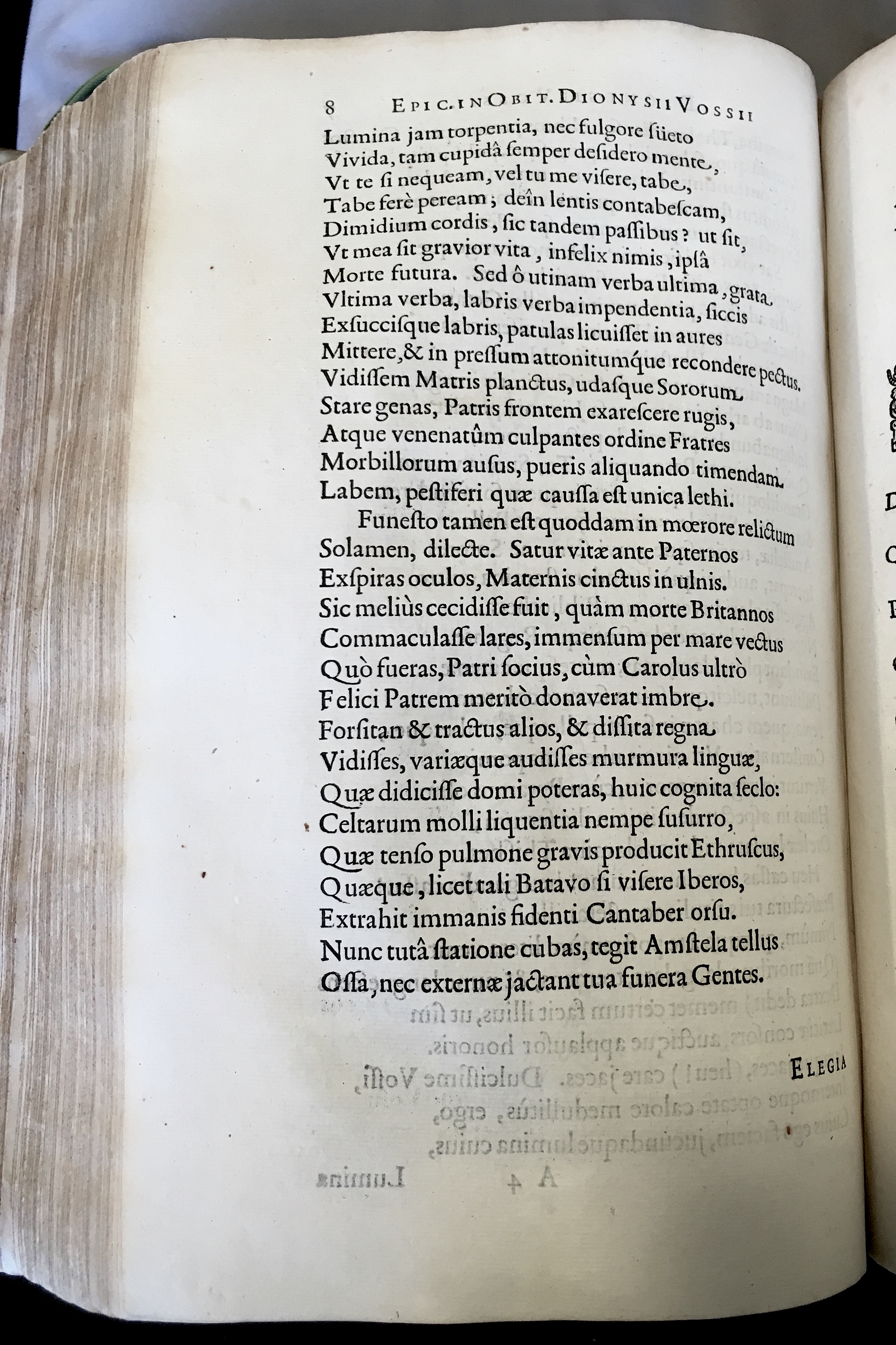 BenninghDionysius1633p08.jpg