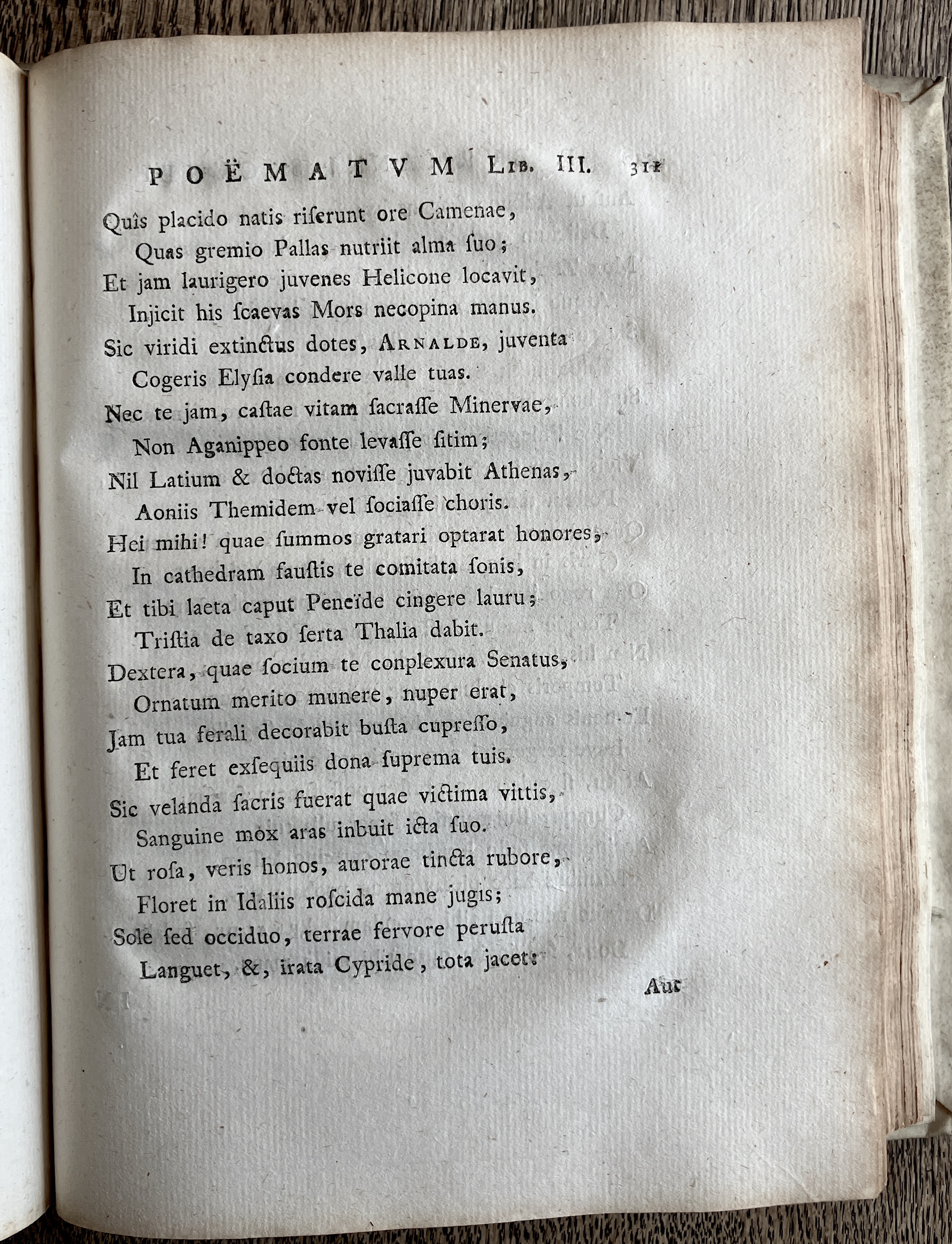 BurmannusPoemata1774p311.jpg