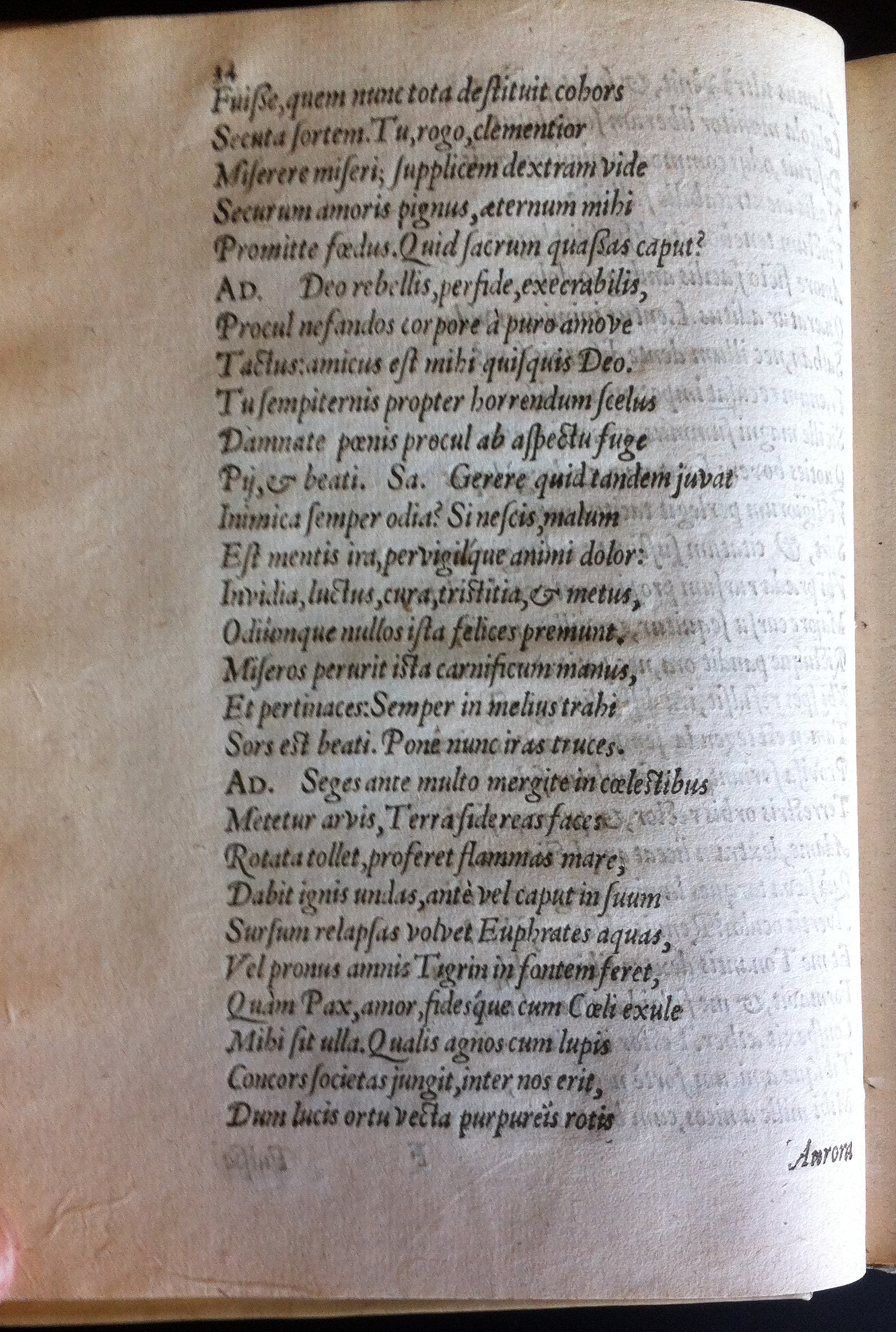GrotiusAdamus160142.jpg