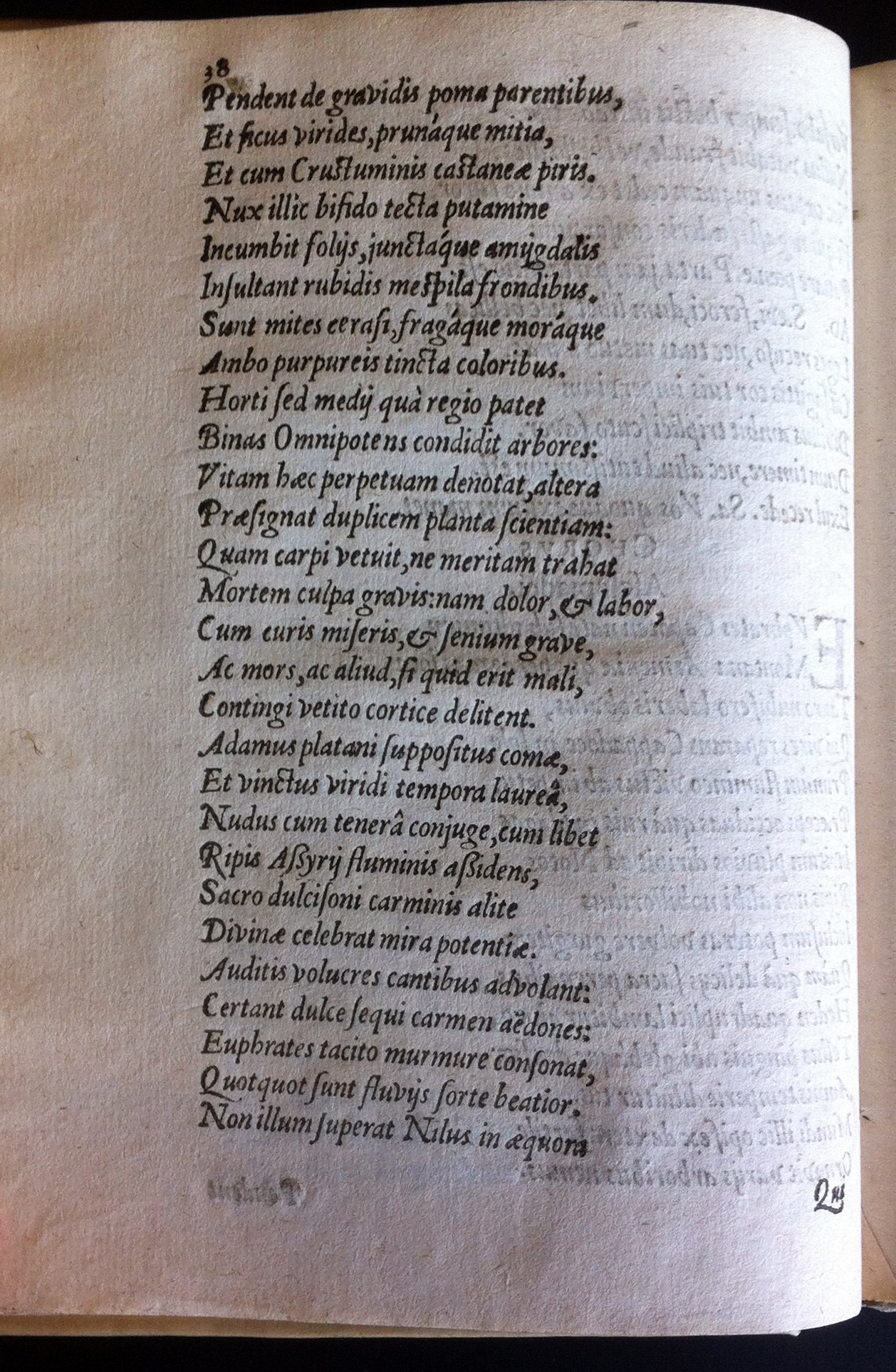 GrotiusAdamus160146.jpg
