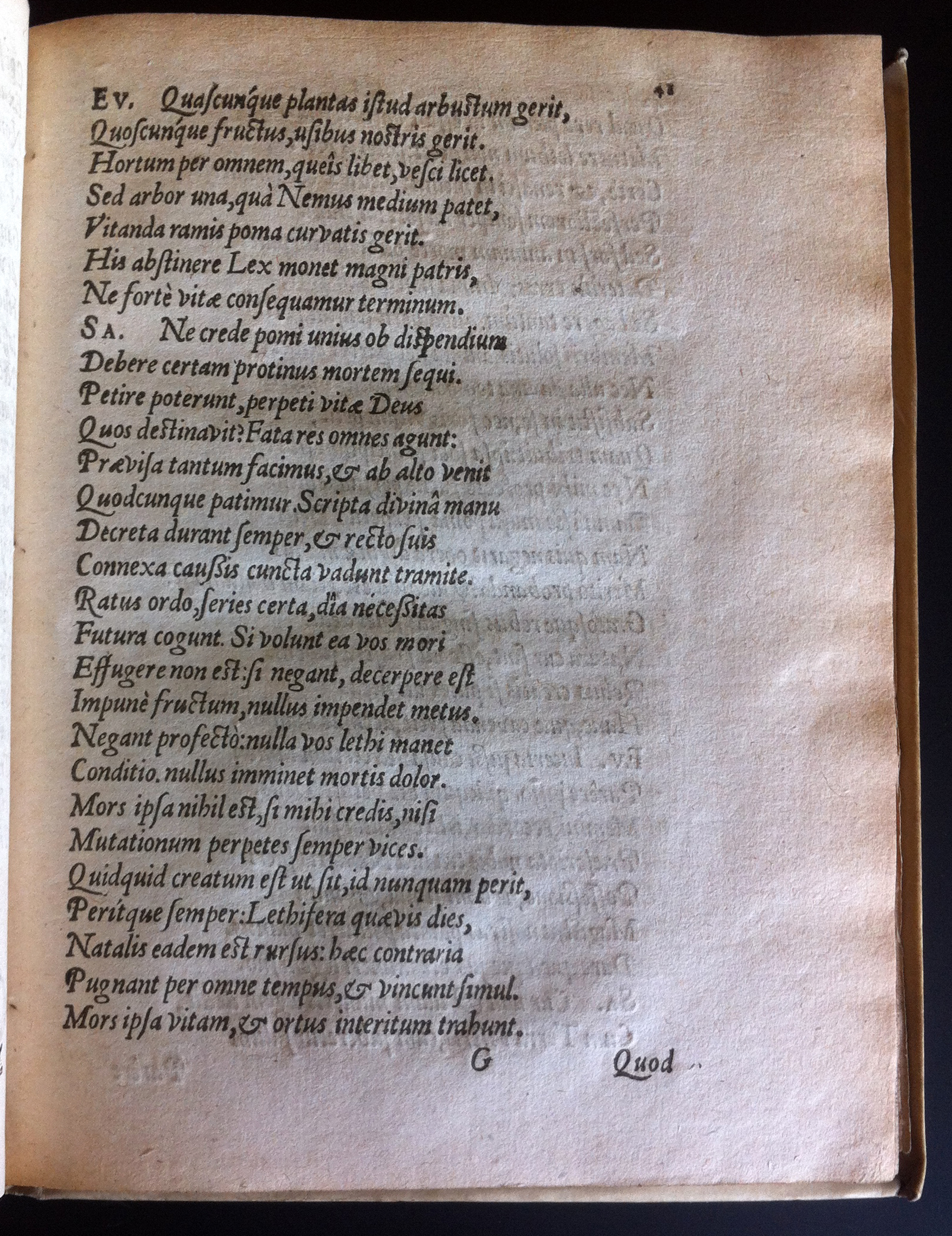 GrotiusAdamus160149.jpg