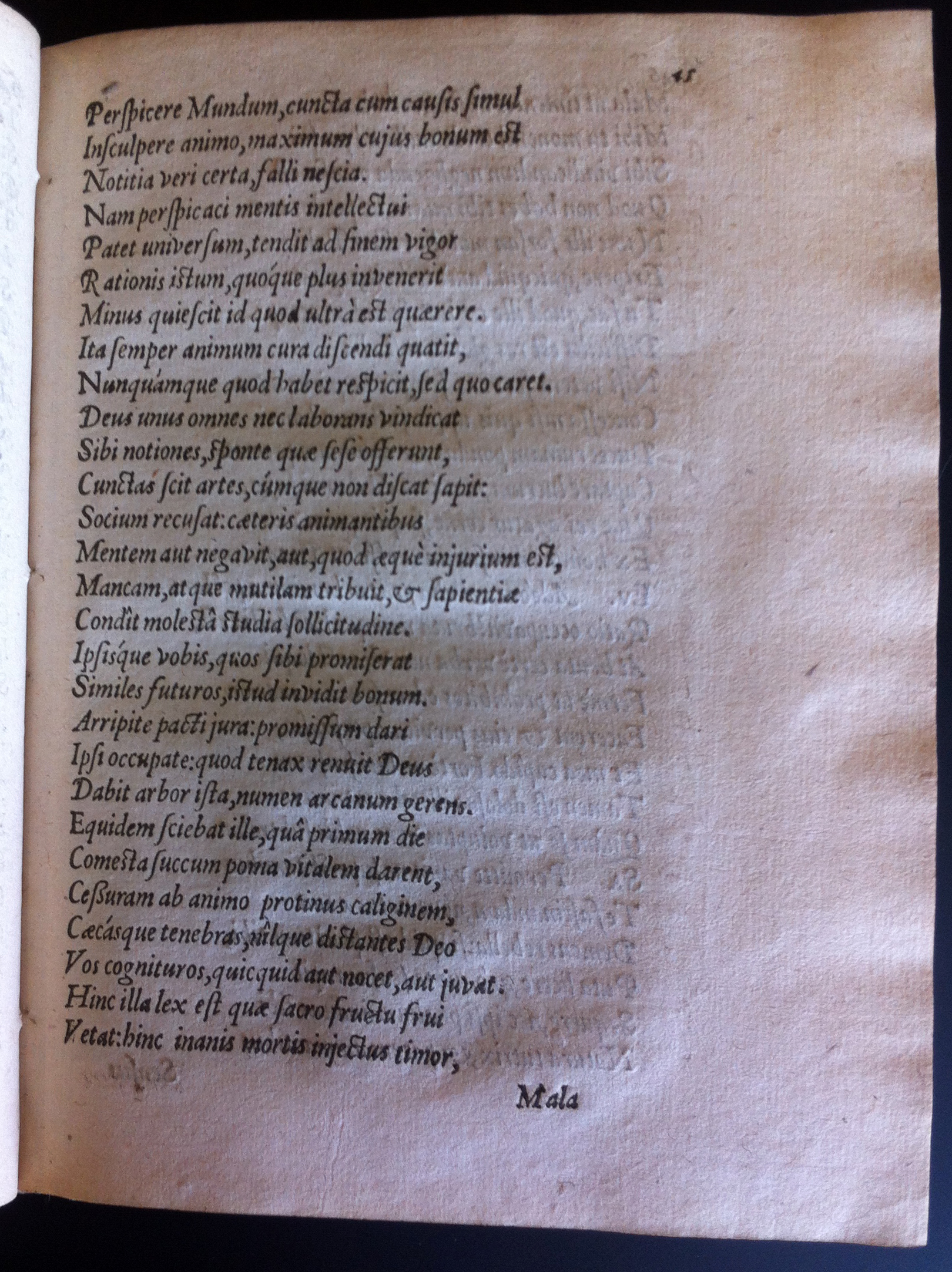 GrotiusAdamus160153.jpg
