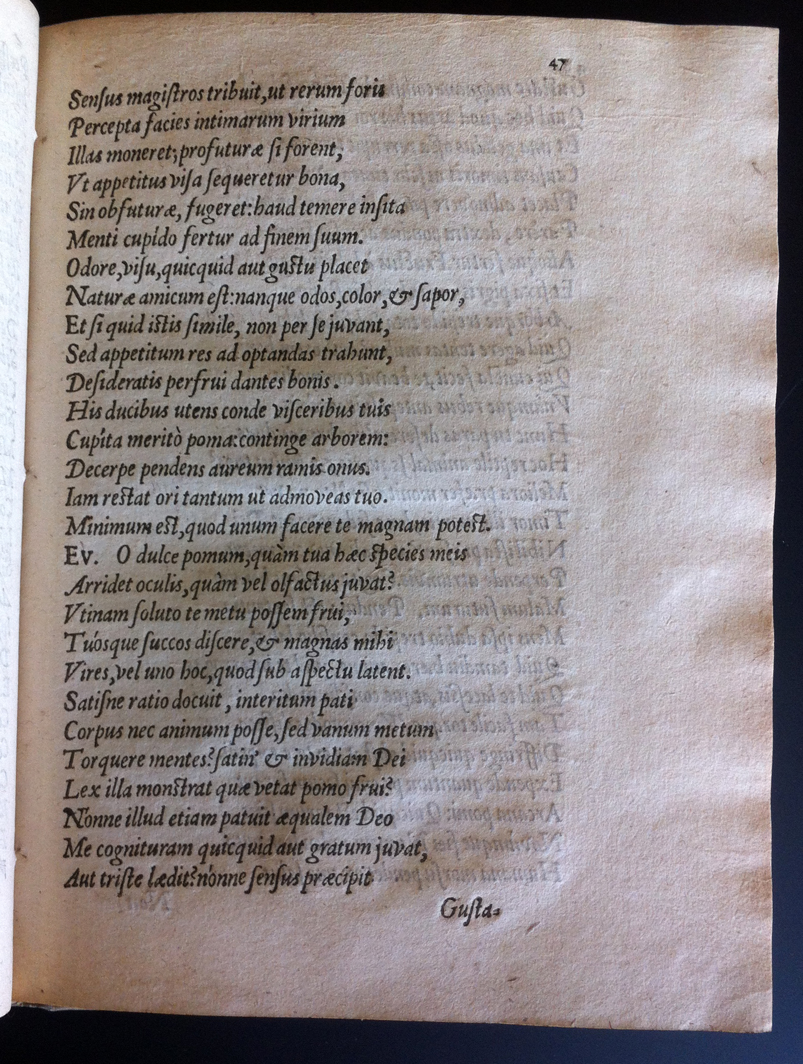 GrotiusAdamus160155.jpg
