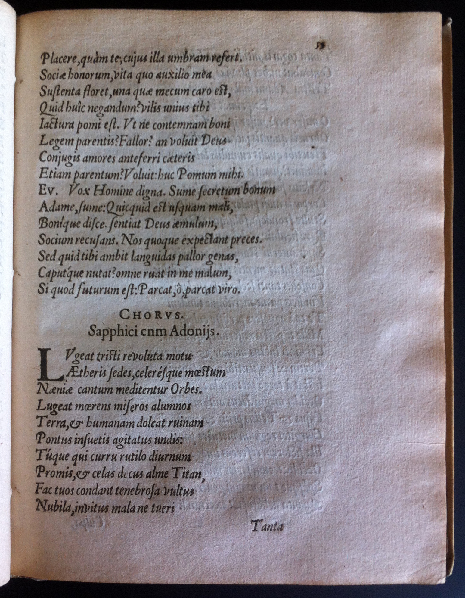 GrotiusAdamus160163.jpg