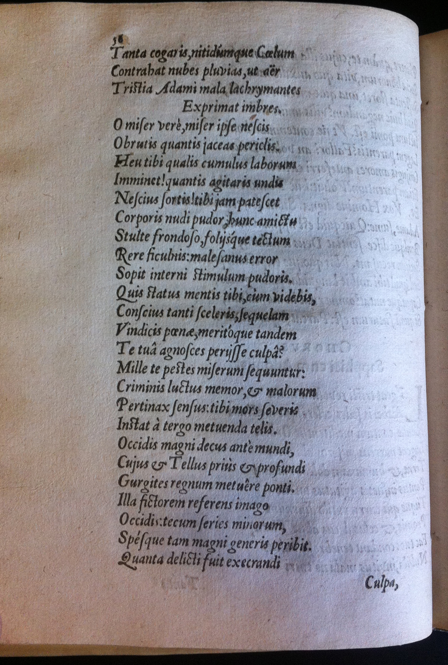 GrotiusAdamus160164.jpg