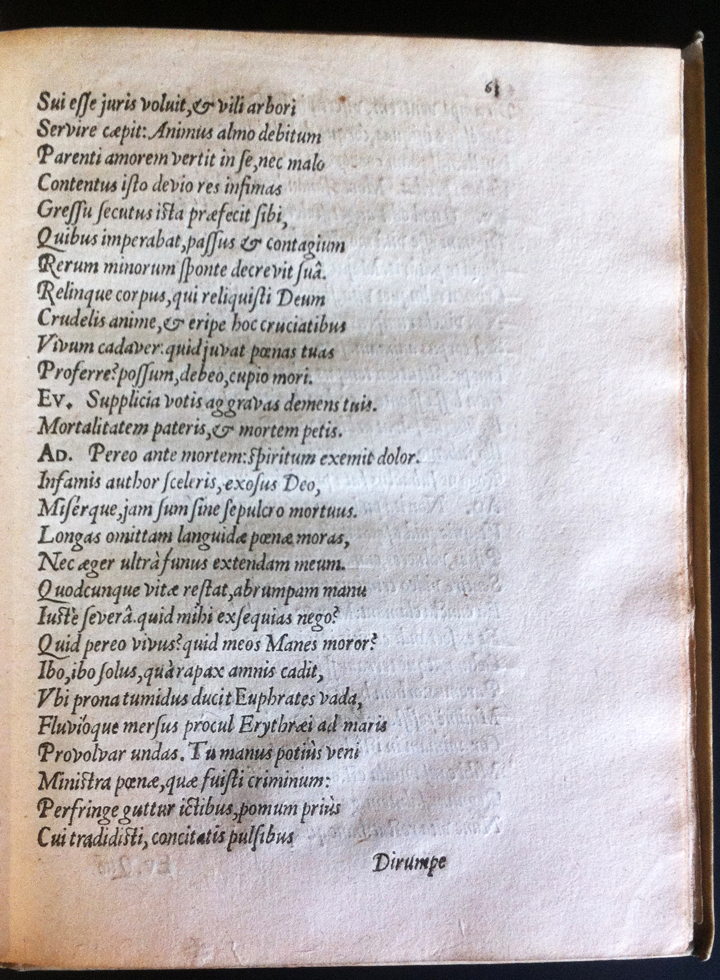 GrotiusAdamus160171.jpg