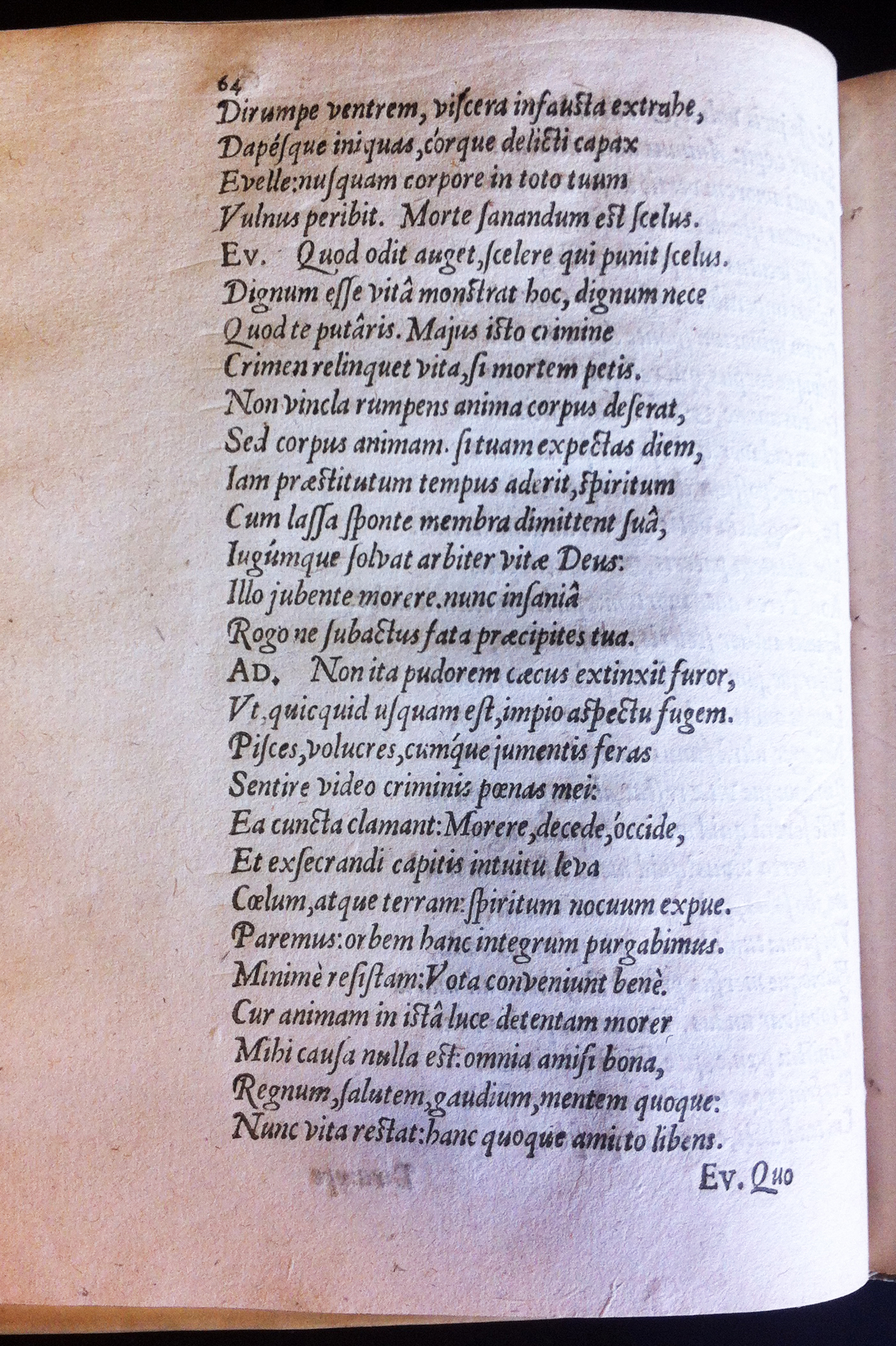 GrotiusAdamus160172.jpg