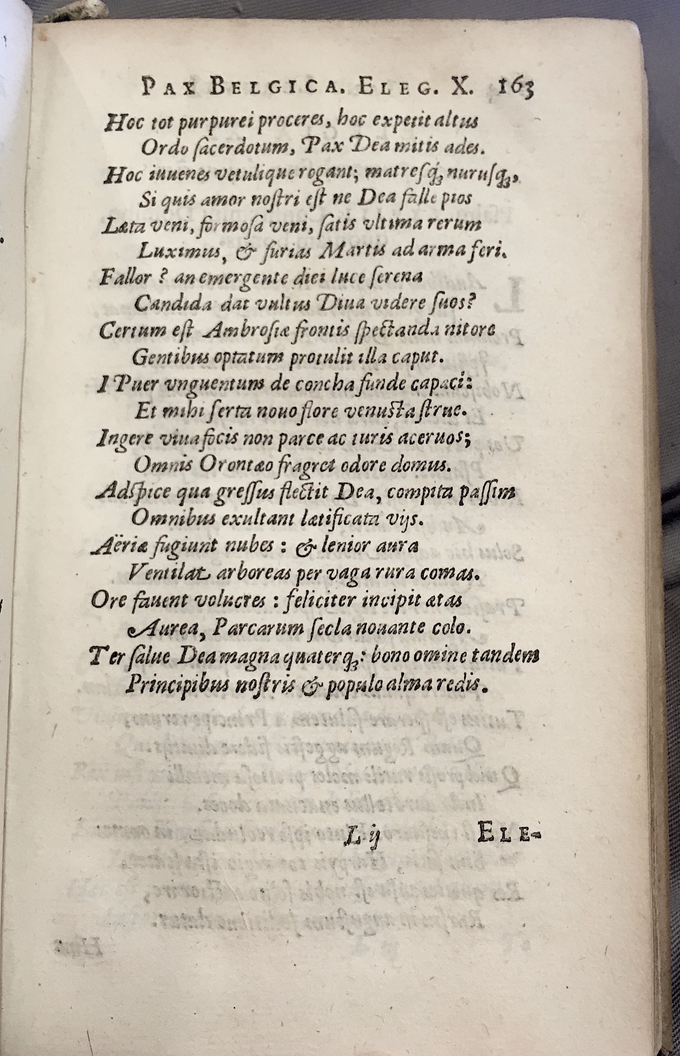 Lernutius1614p163.jpg