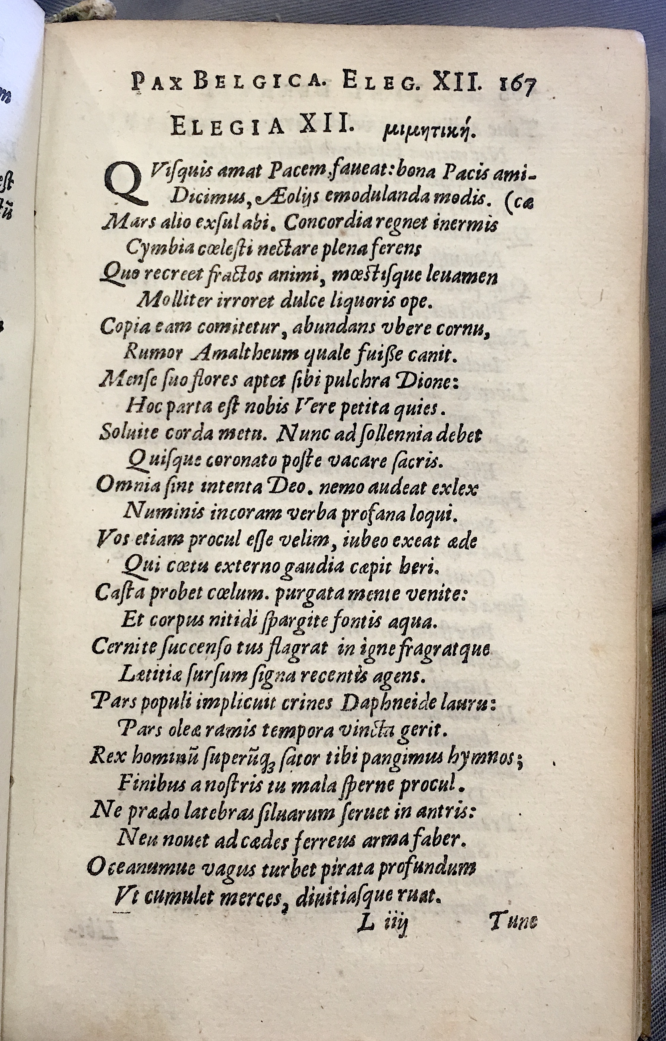 Lernutius1614p167.jpg