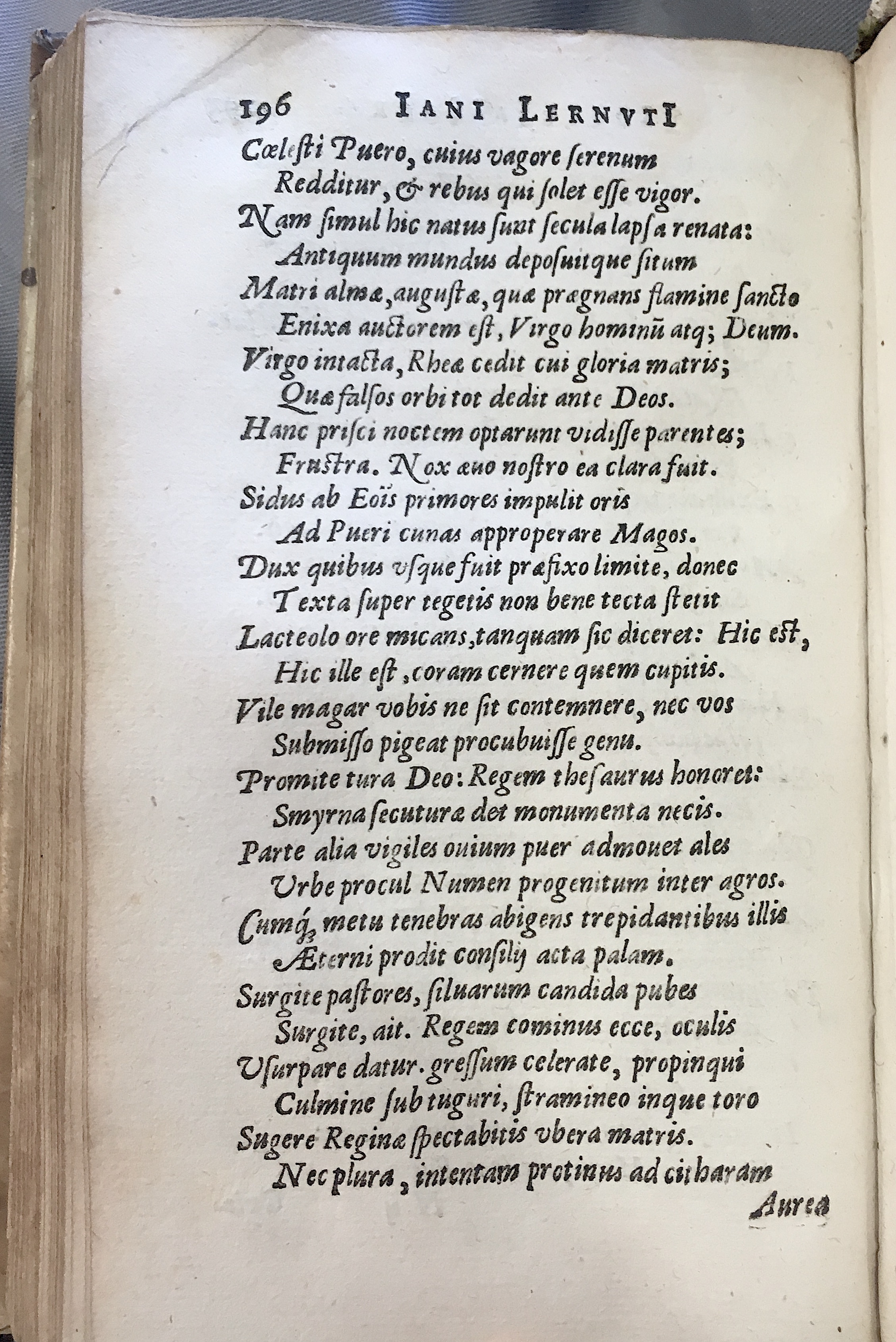 Lernutius1614p196.jpg