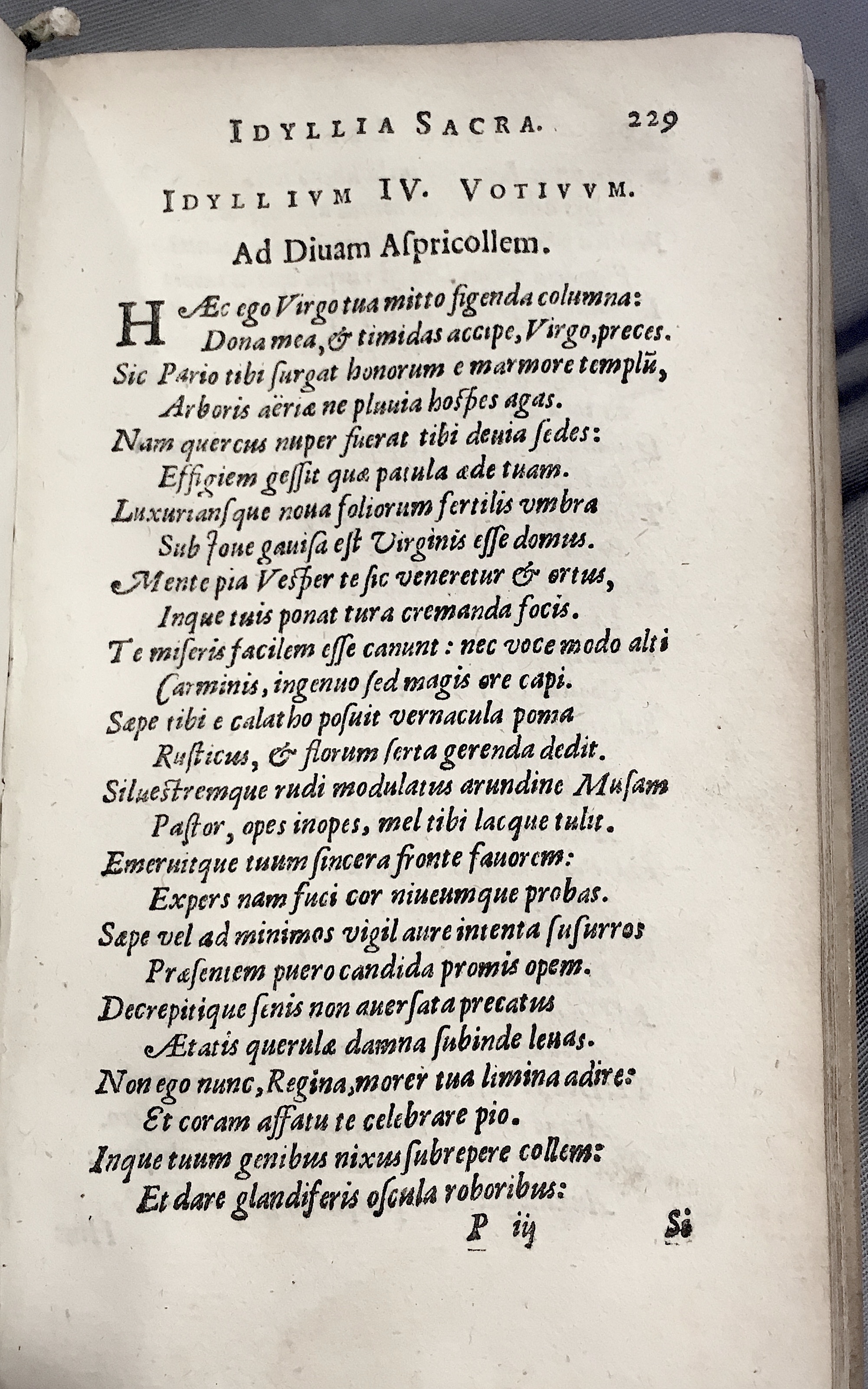 Lernutius1614p229.jpg