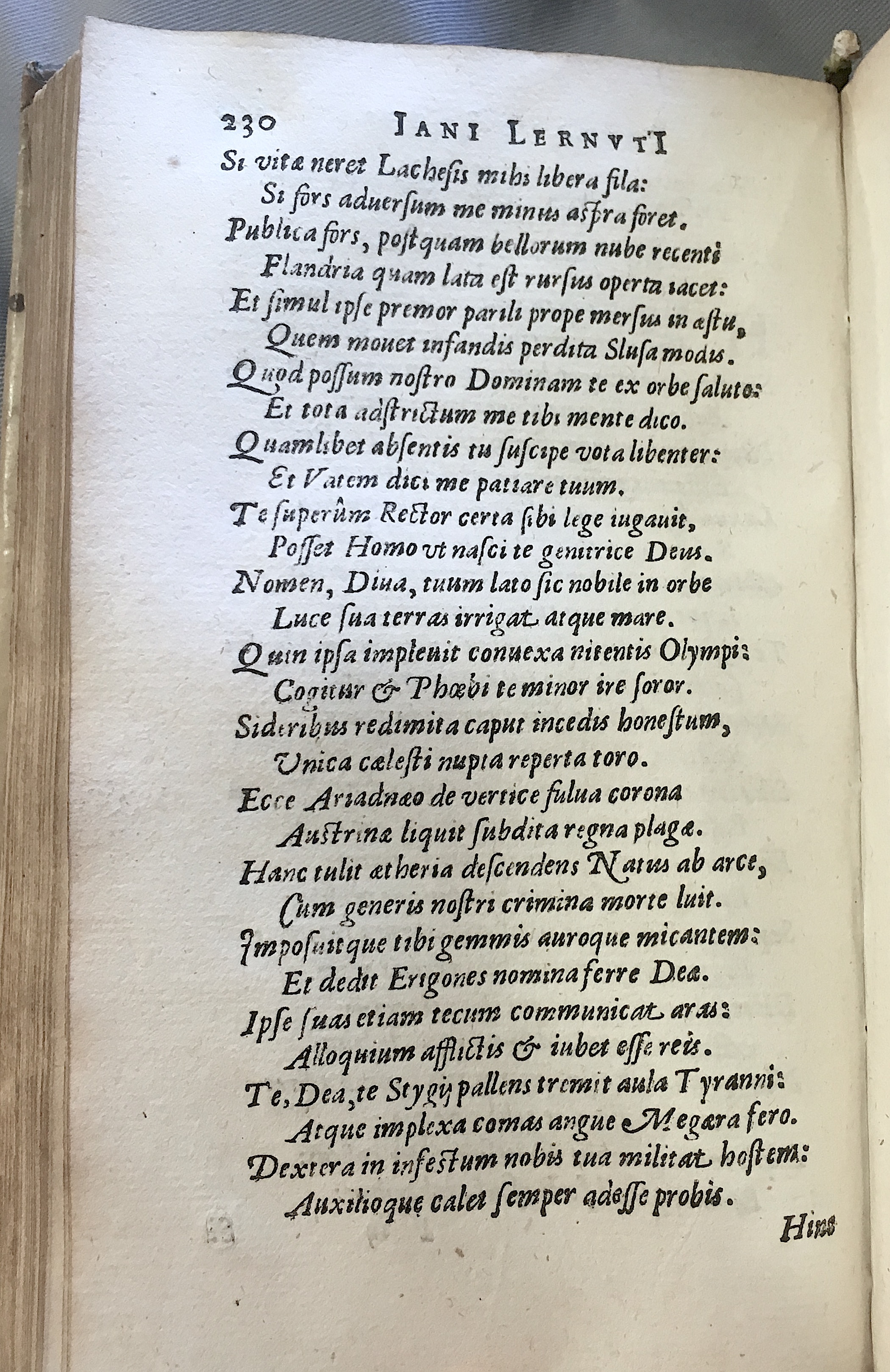 Lernutius1614p230.jpg